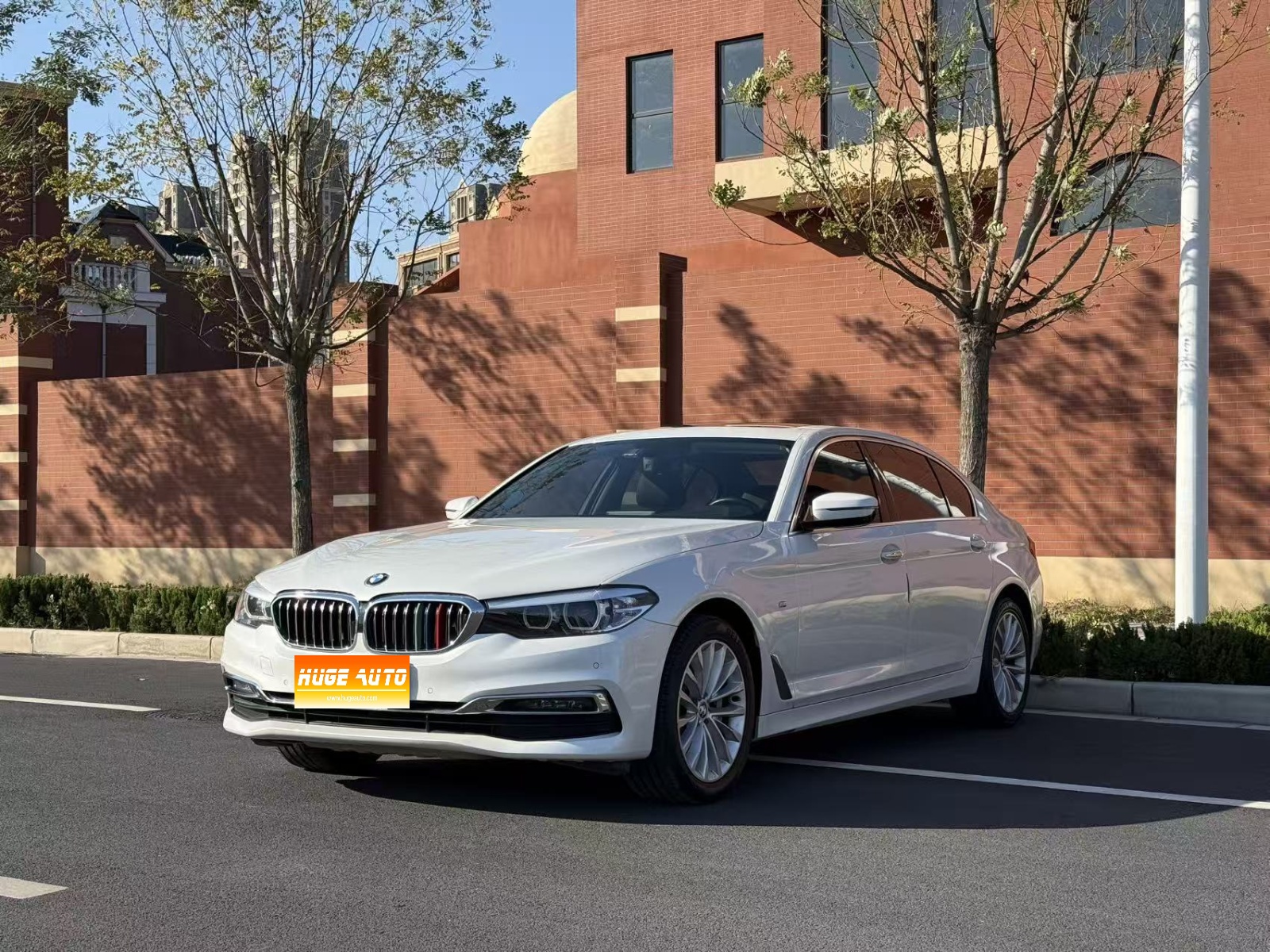 MY2019 BMW 5 Series 530Li Lead Version Luxury Package
