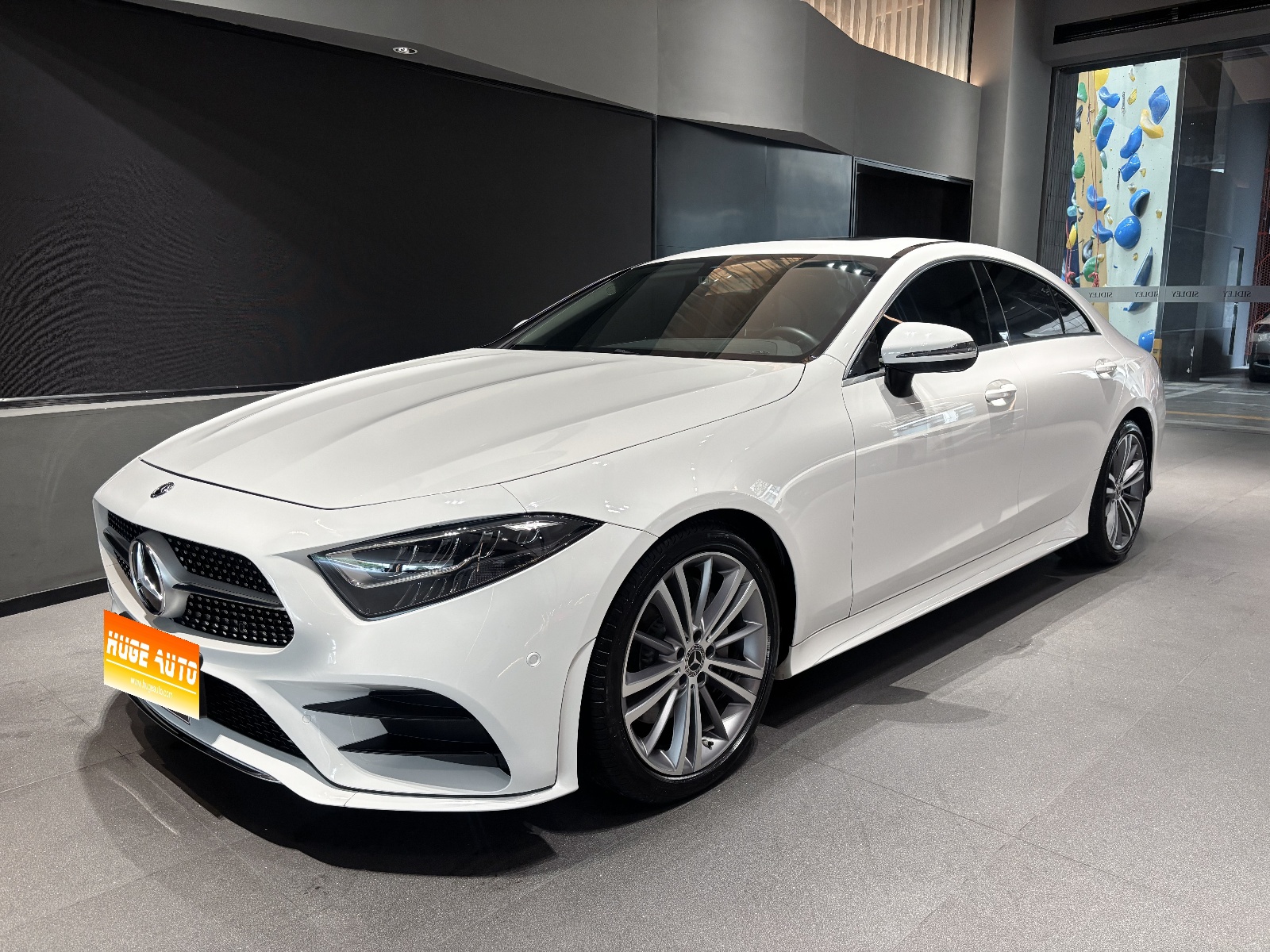 MY2020 Mercedes Benz CLS Class 300 Dynamic Version