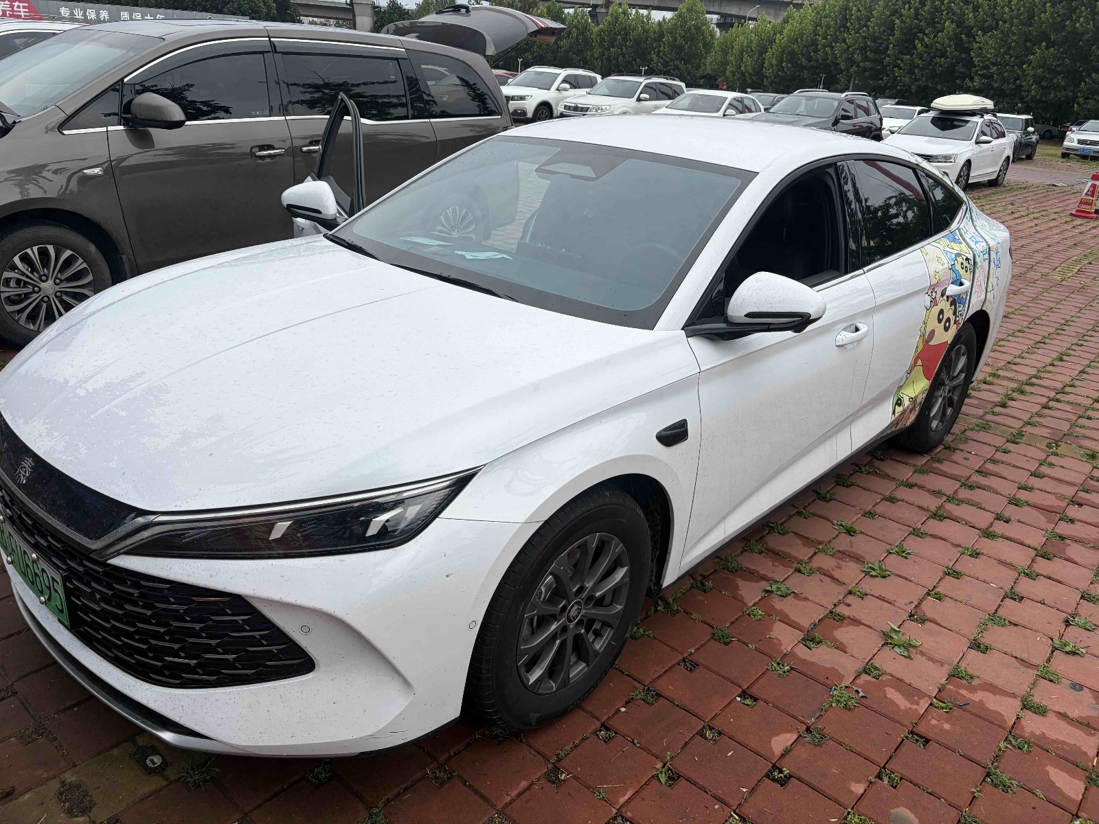 MY2025 Qin L DM-i i-Drive 80KM Lead