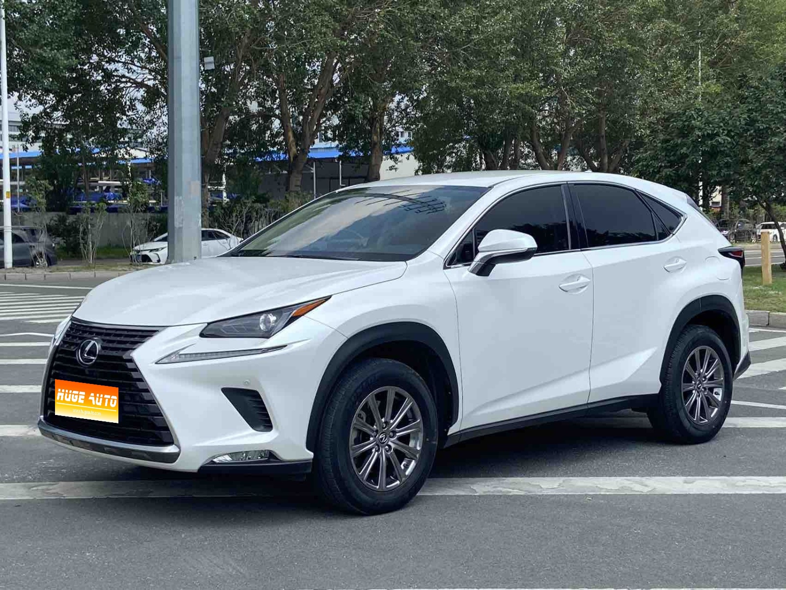 MY2020 Lexus NX 200 FWD Fengxing National V 