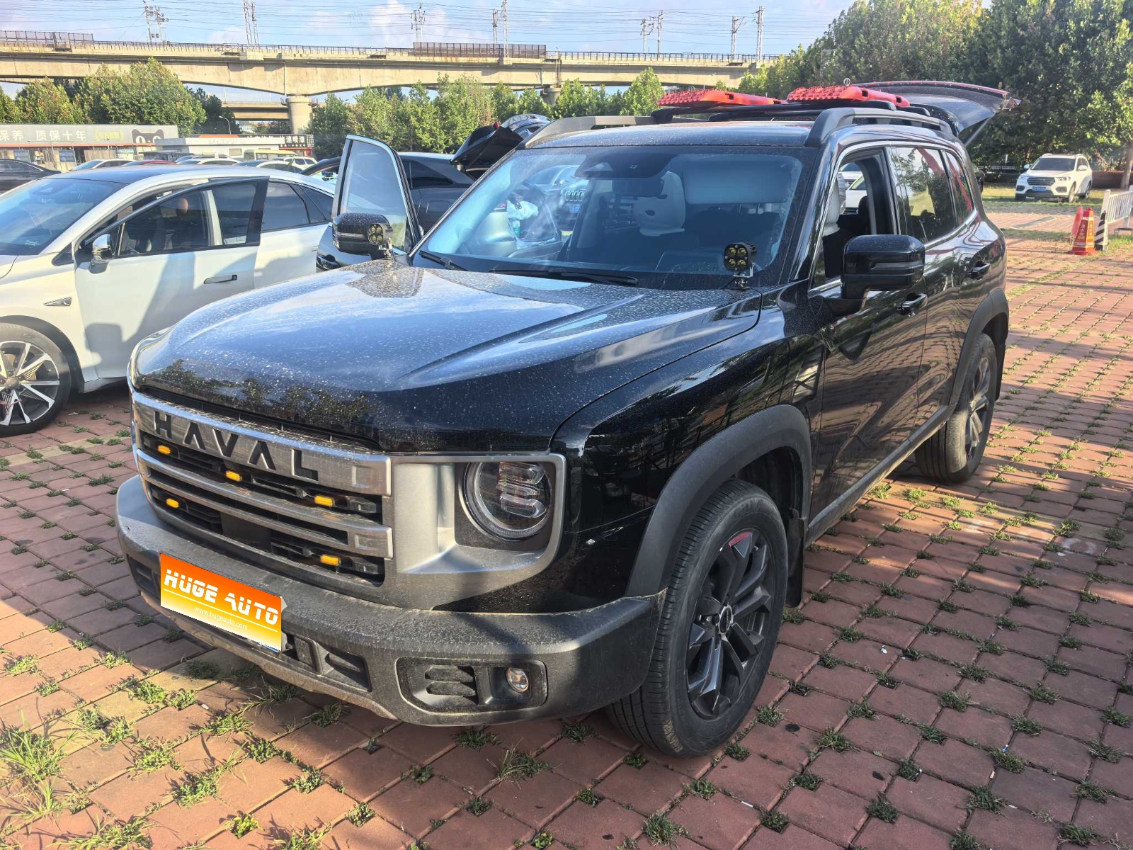 MY2024 Haval Dargo 1.5T DCT Border Collie
