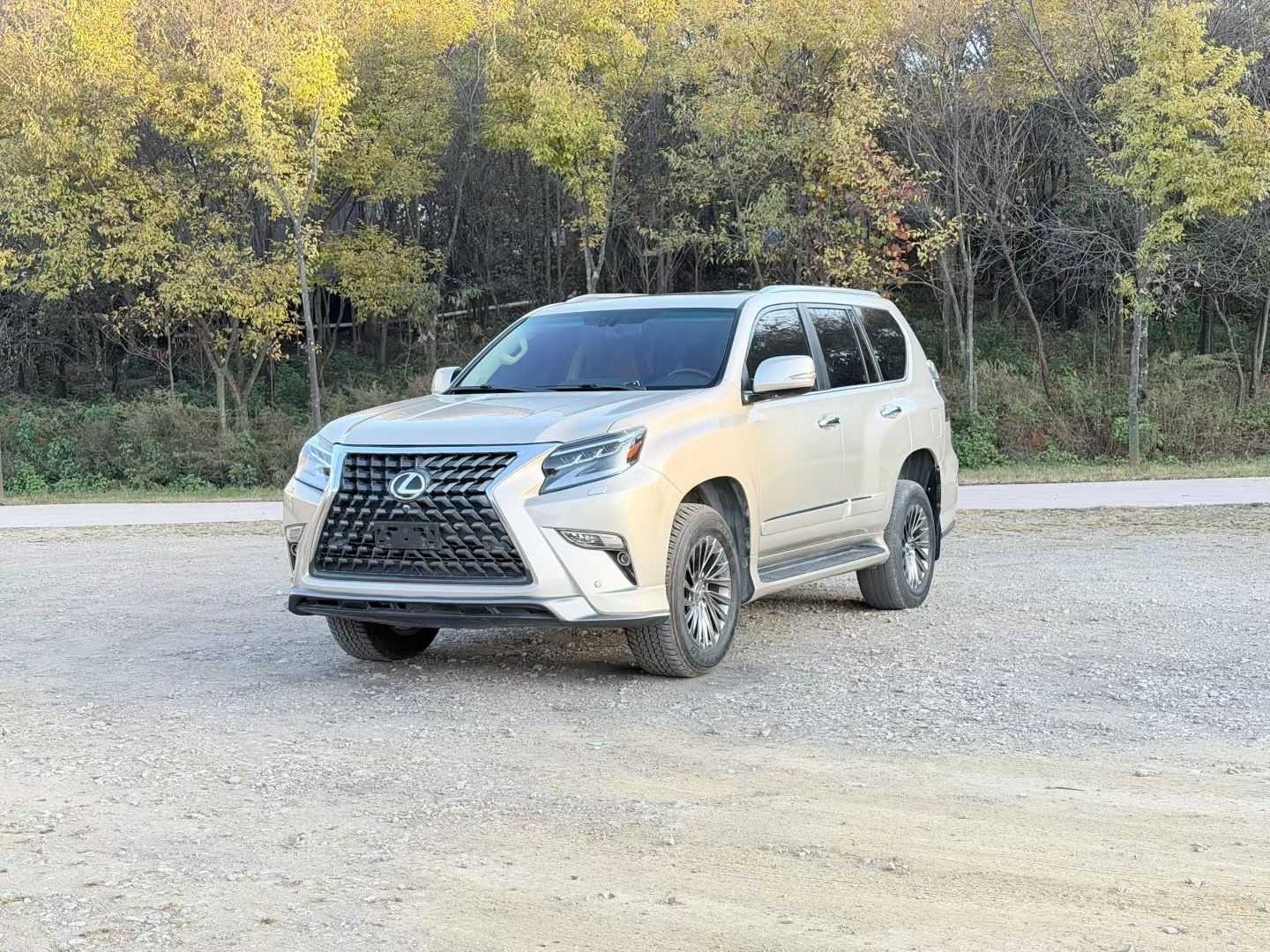 MY2010  Lexus GX 460