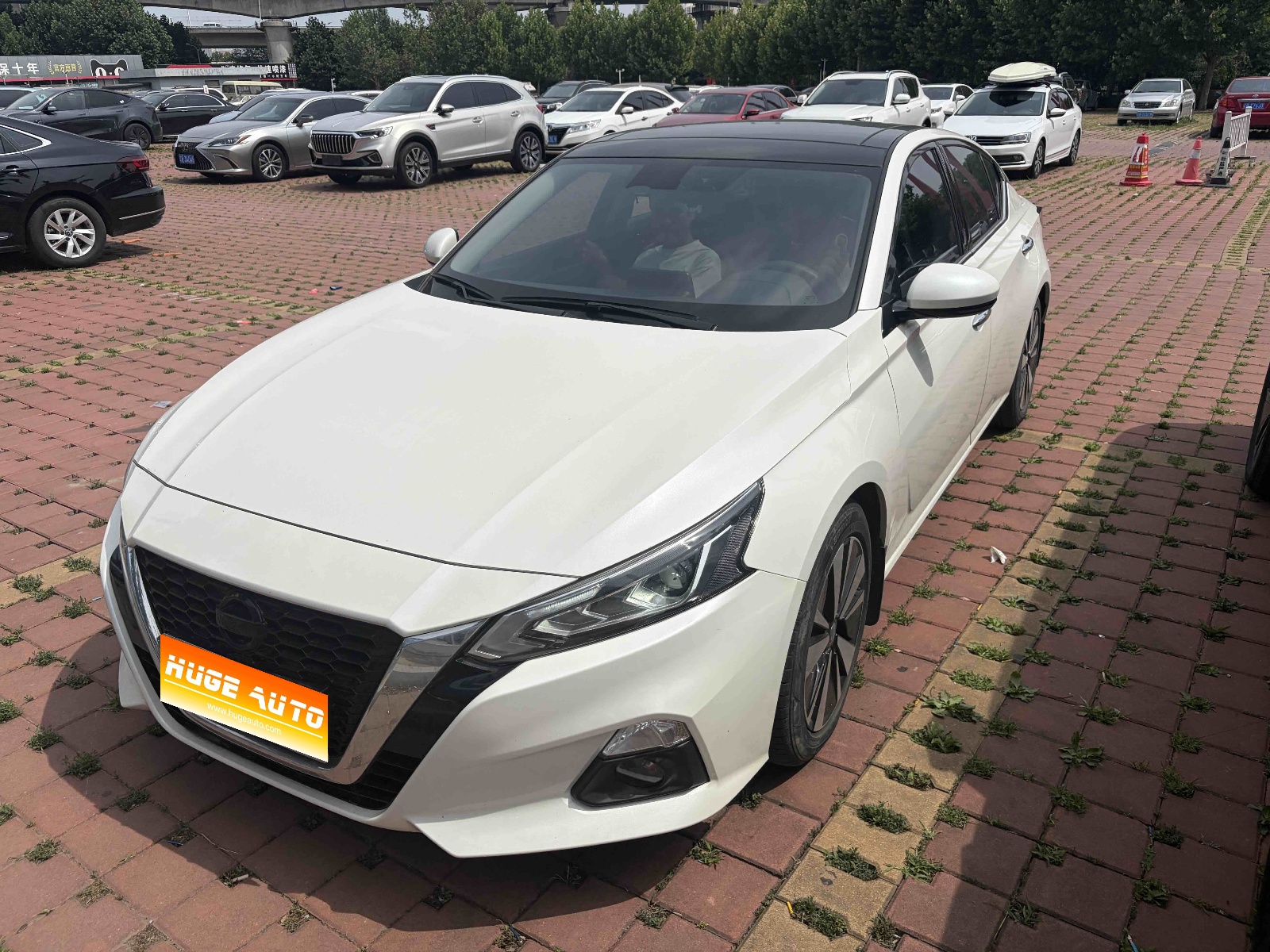 MY2021 Alitima 2.0L XL Comfort