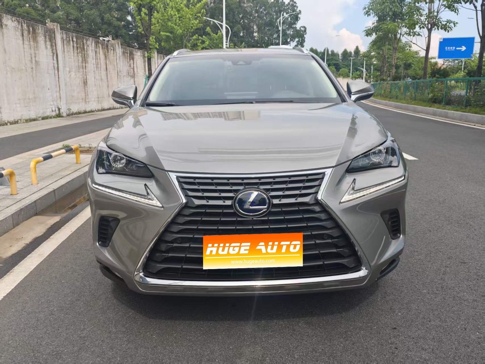 MY2018 Lexus NX 300h FWD Vanguard Version National V 