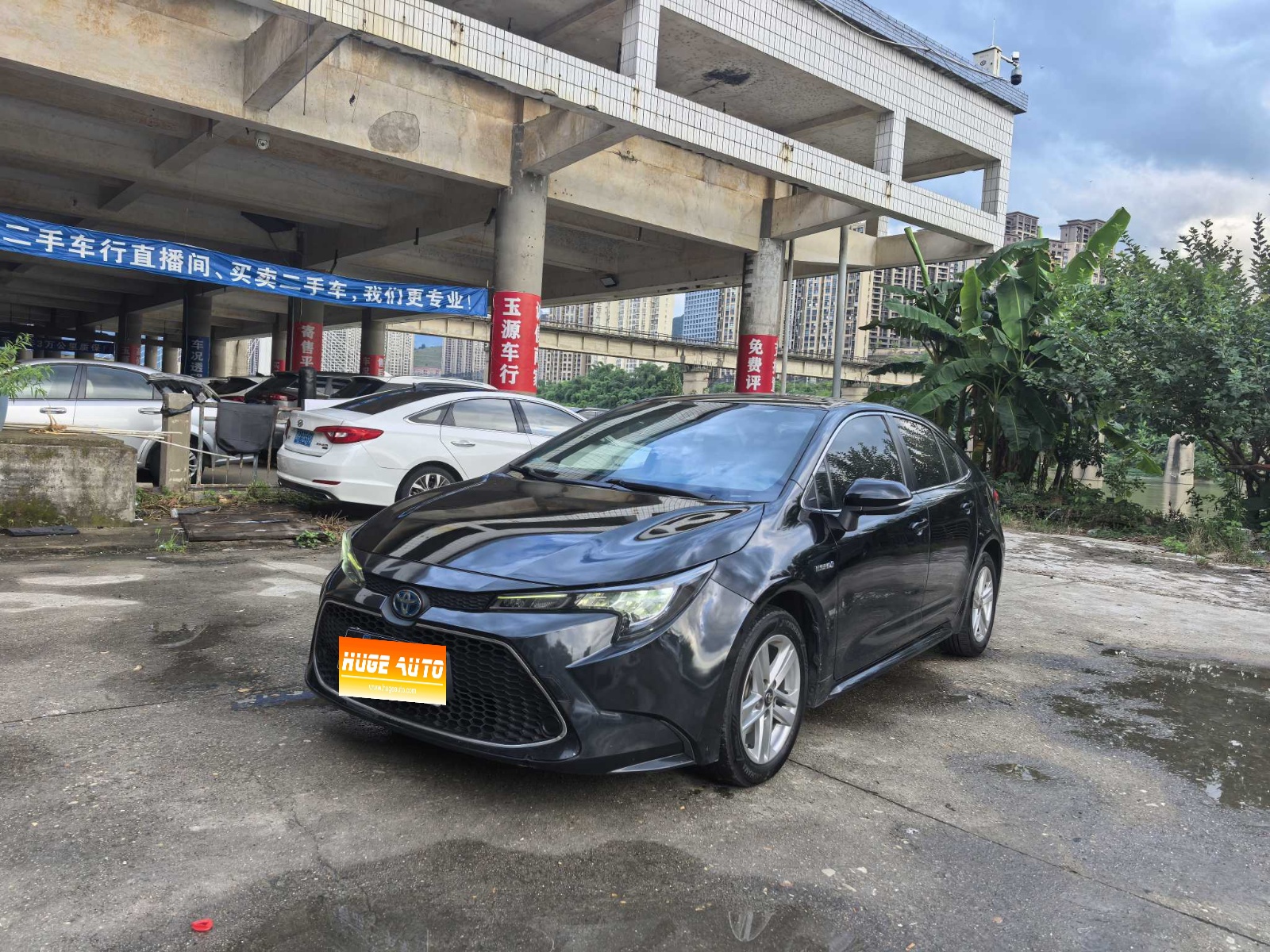 MY2019 Levin Hybrid 1.8H E-CVT Luxury Version National VI