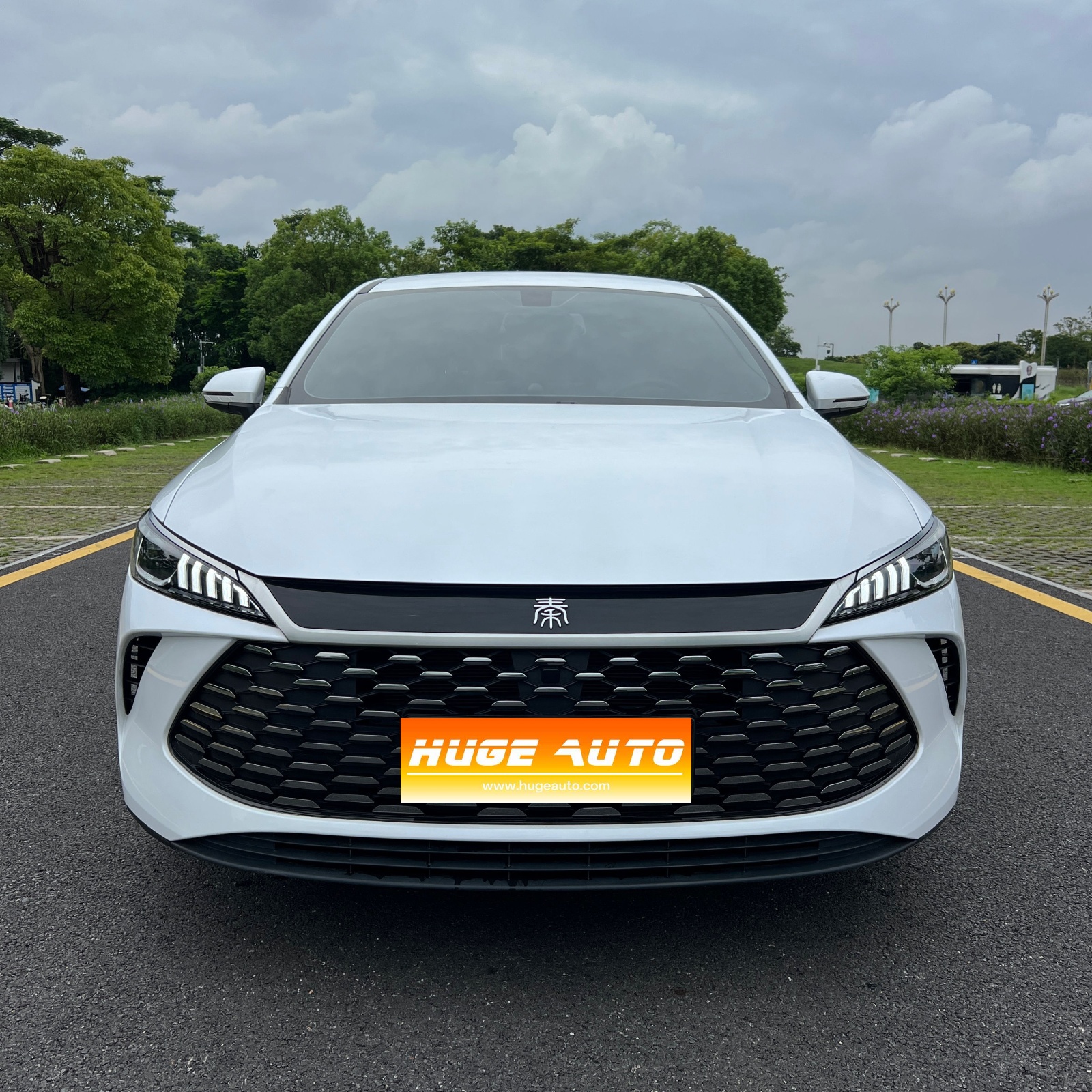 MY2024 Qin PLUS Honor DM-i 55KM Lead