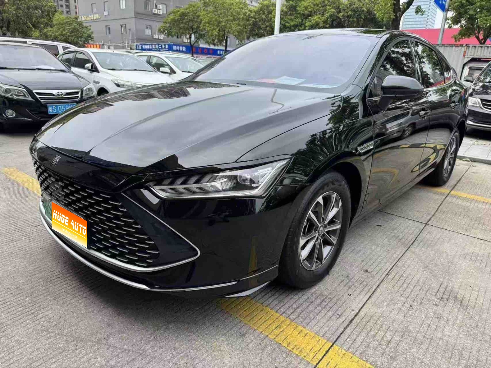 MY2024 Qin PLUS Honor DM-i 55KM Lead