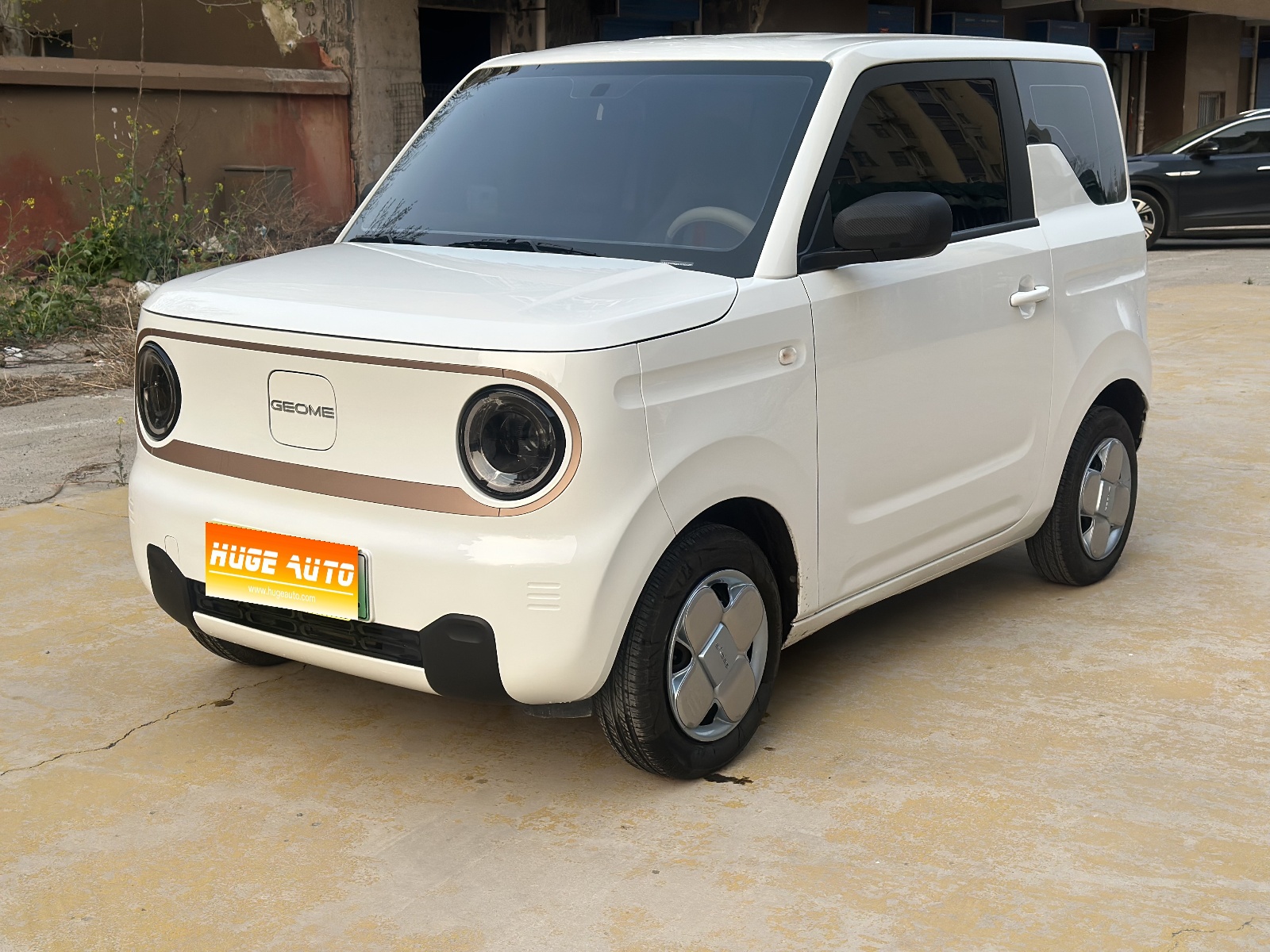 MY2024 Panda mini 200km Endurance