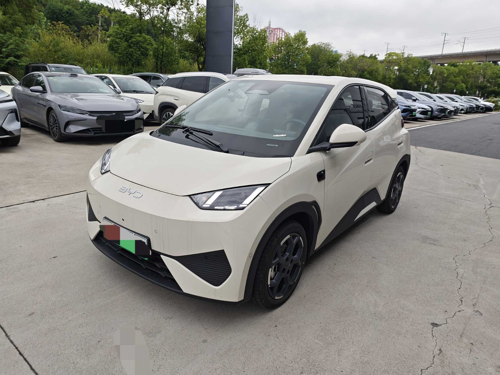 MY2025 Seagull iDrive 305km Free