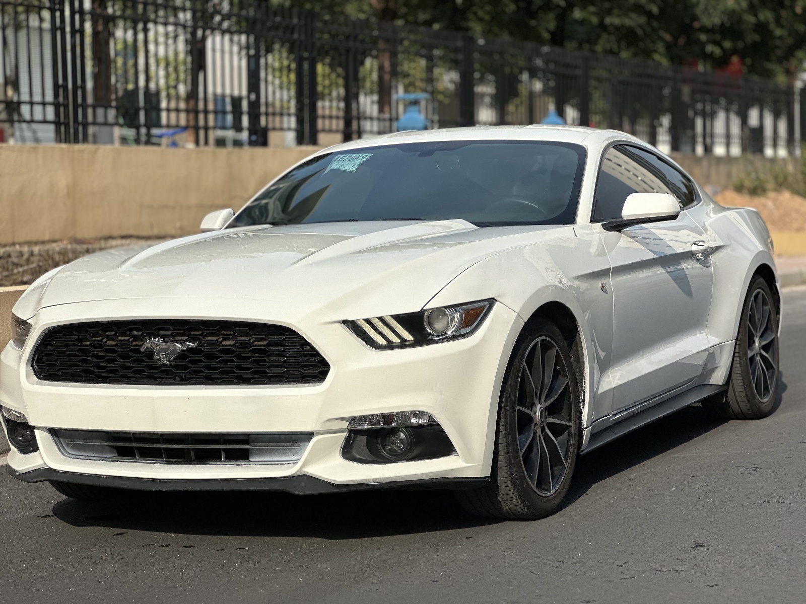 2016款 Mustang 2.3T 性能版