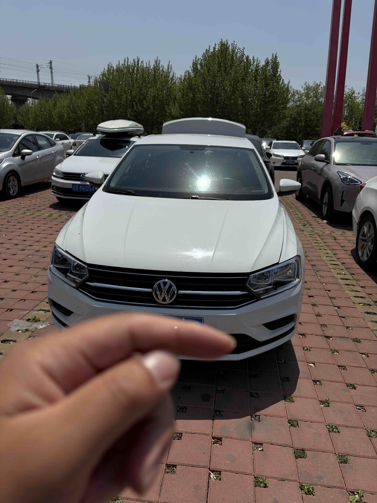 MY2019 Bora Legend 1.5L MT Fashion Version National VI