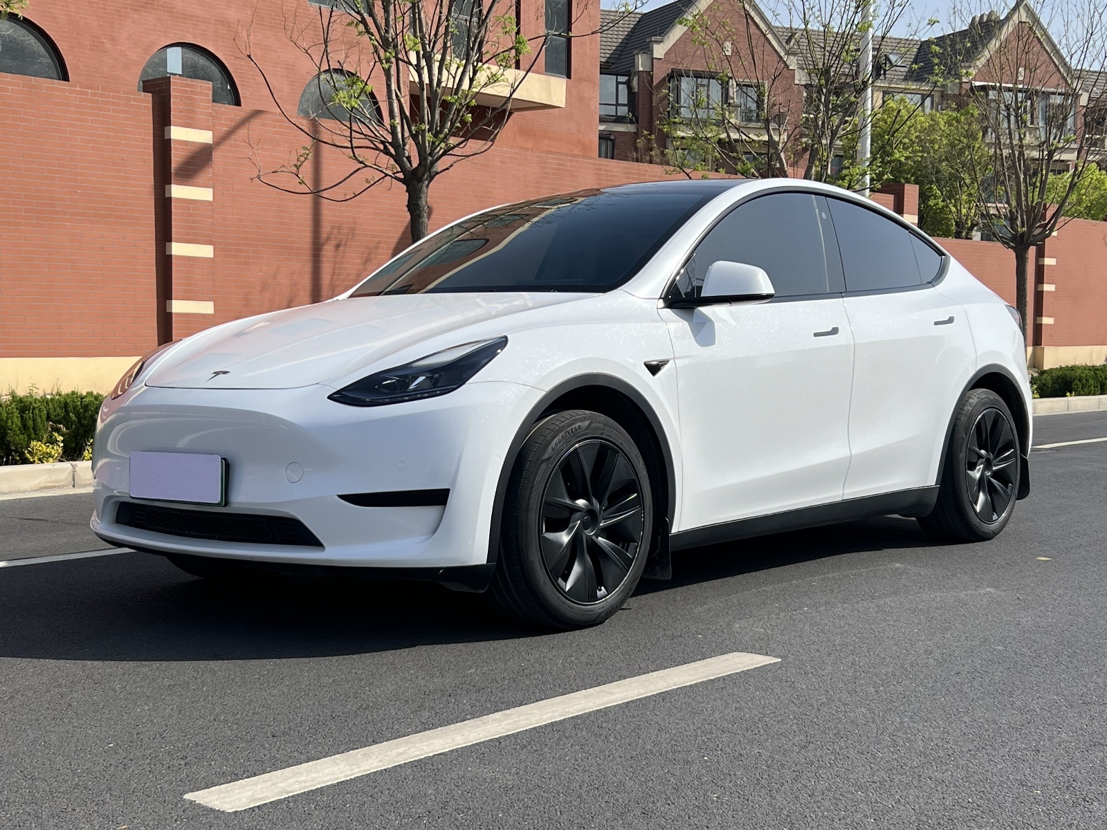 MY2024 Model Y RWD