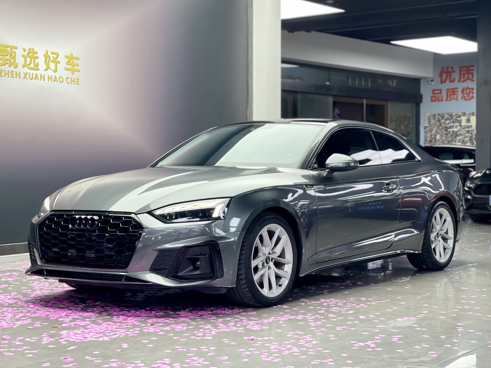 MY2023 Audi A5(imported)Coupe 40 TFSI Fashion Dynamic Version