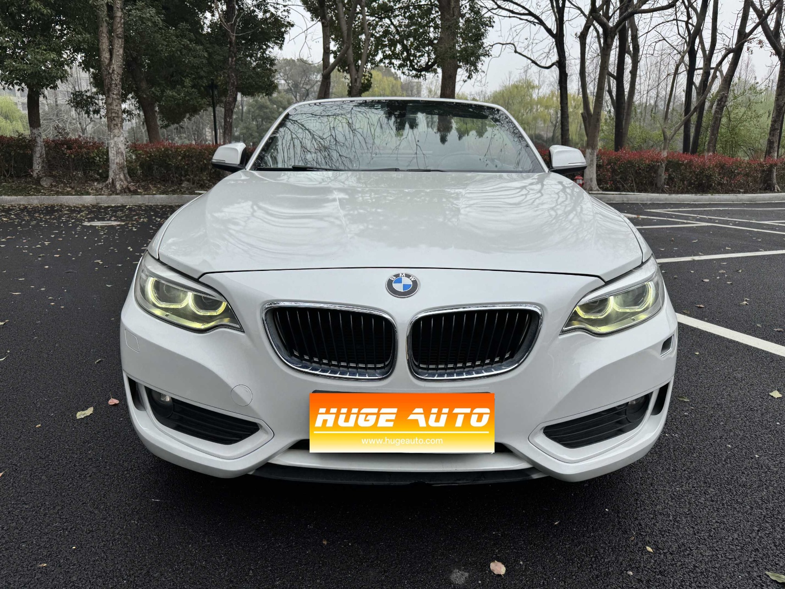 MY2015 BMW 2 Series(Imported) 218i Convertible Coupe 