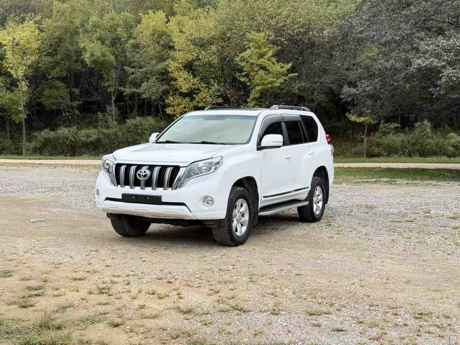 MY2010 Prado 4.0L AT TX-L