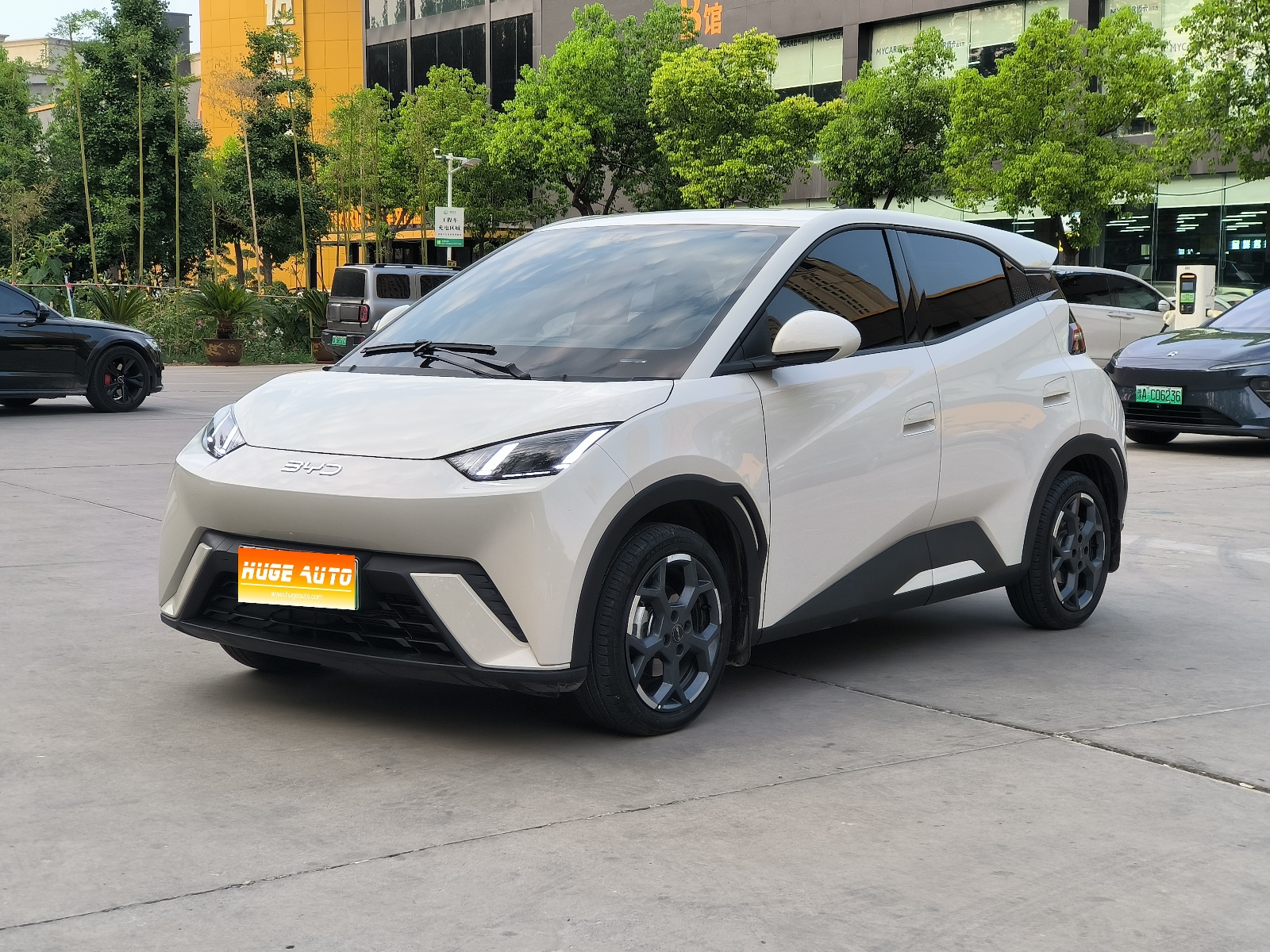 2025款 海鸥 305km 自由版