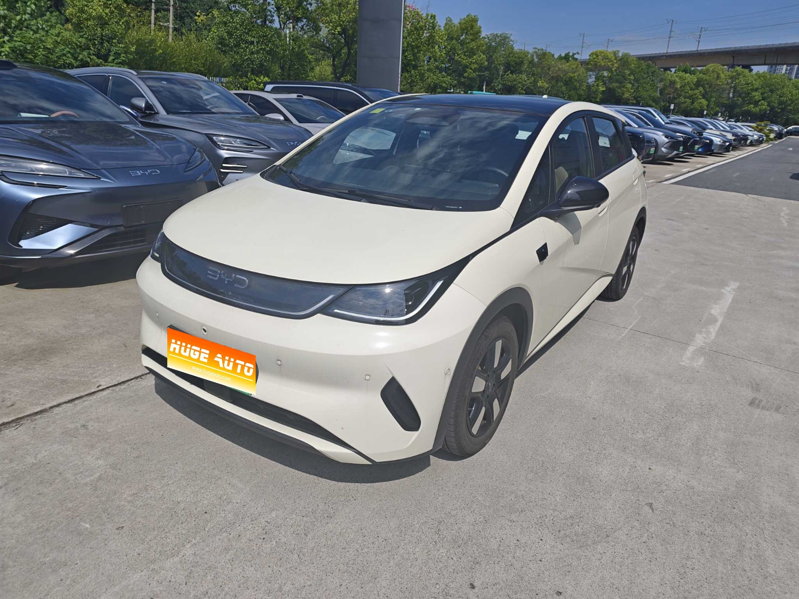 MY2025 Dolphin i-Drive 410km Fashion