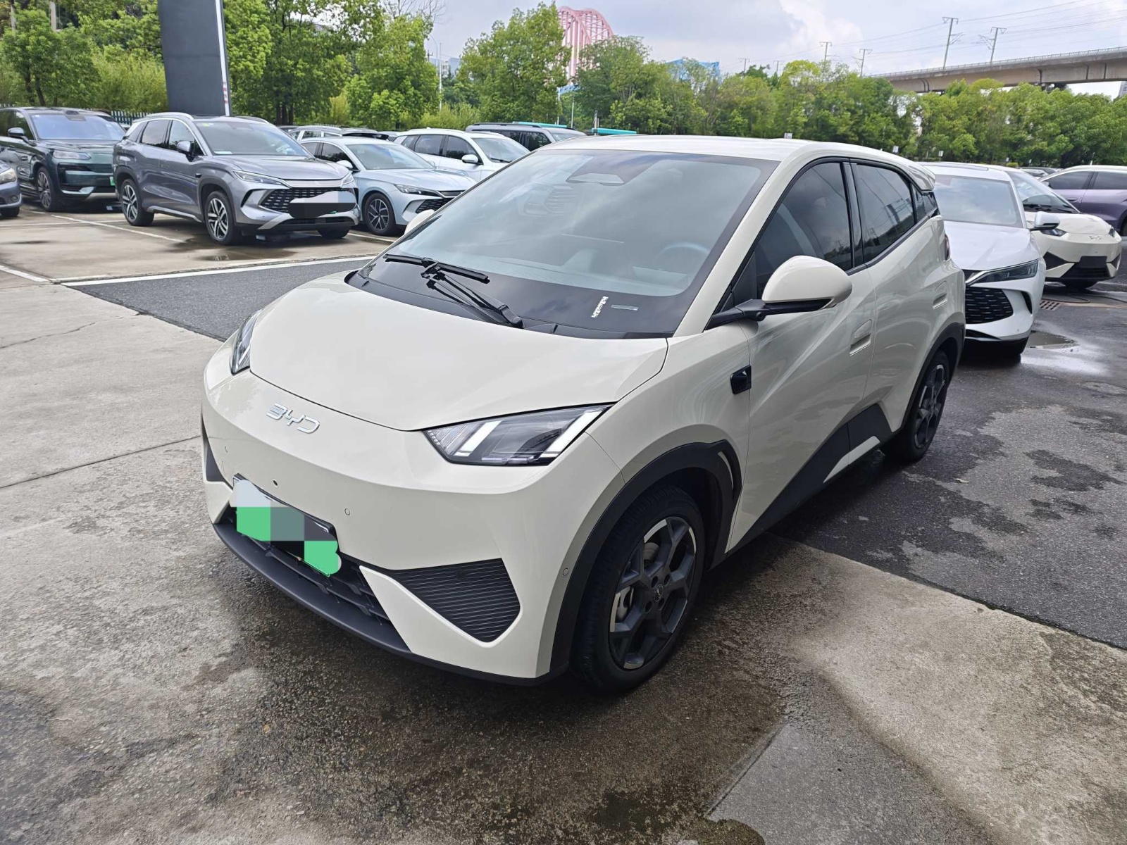 MY2025 Seagull iDrive 405km Fly