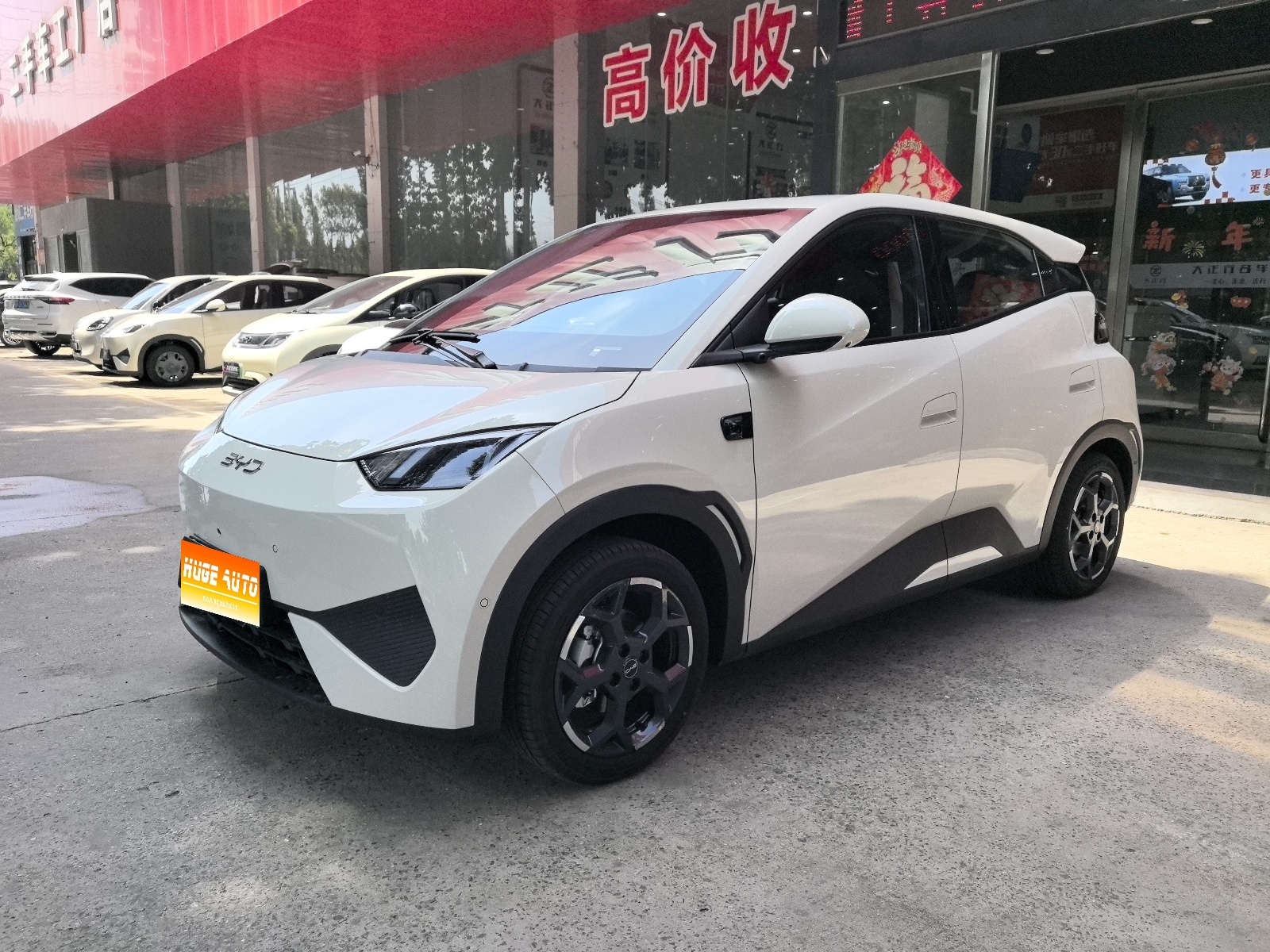 2025款 海鸥 智驾版 305km 自由版