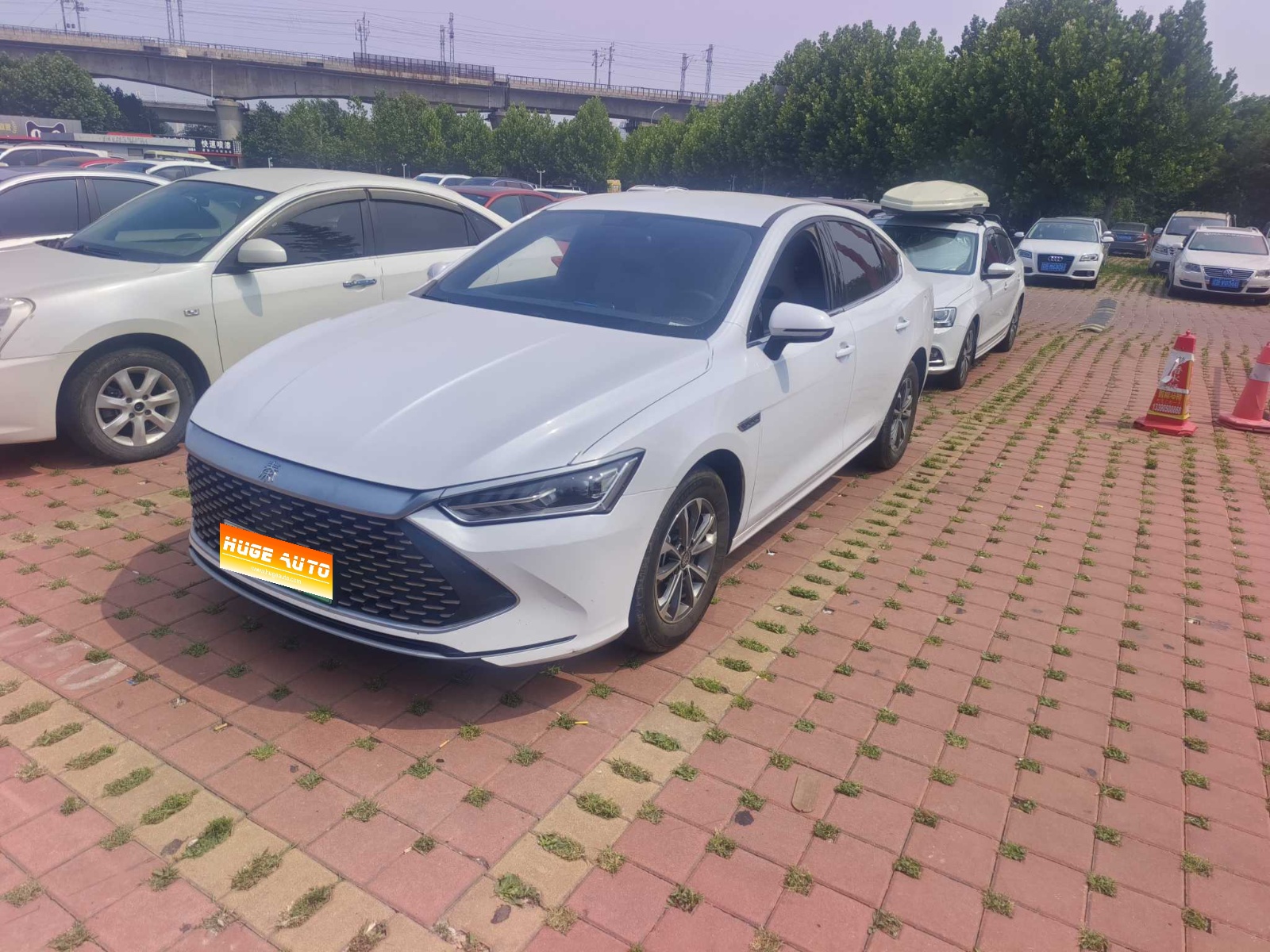 MY2024 Qin PLUS Honor DM-i 55KM Lead