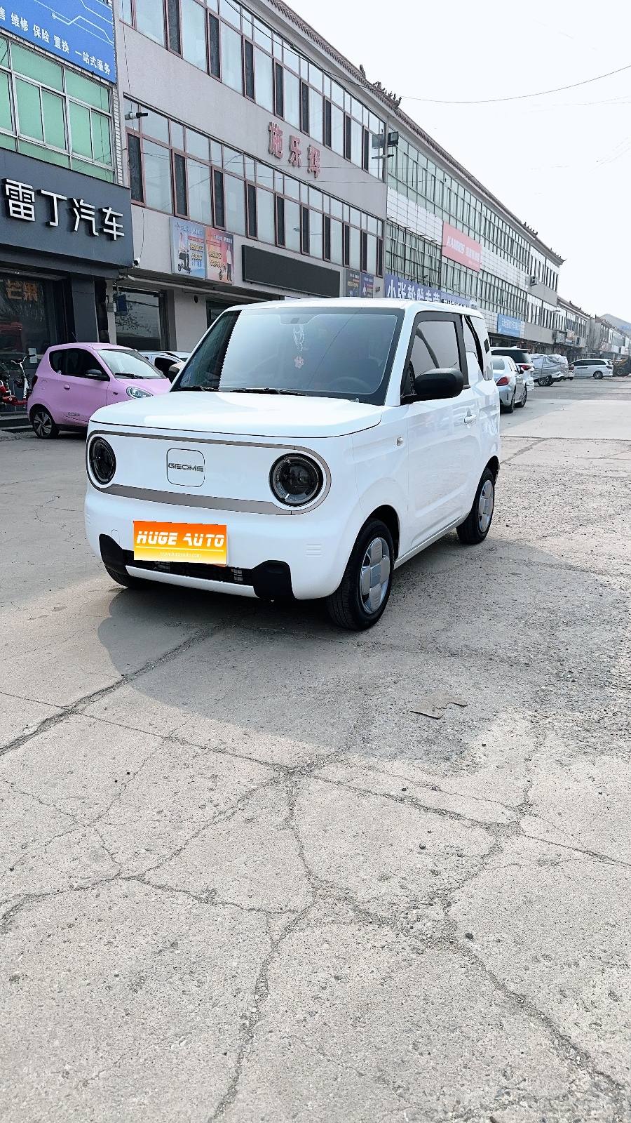 MY2024 Panda mini 200km Endurance
