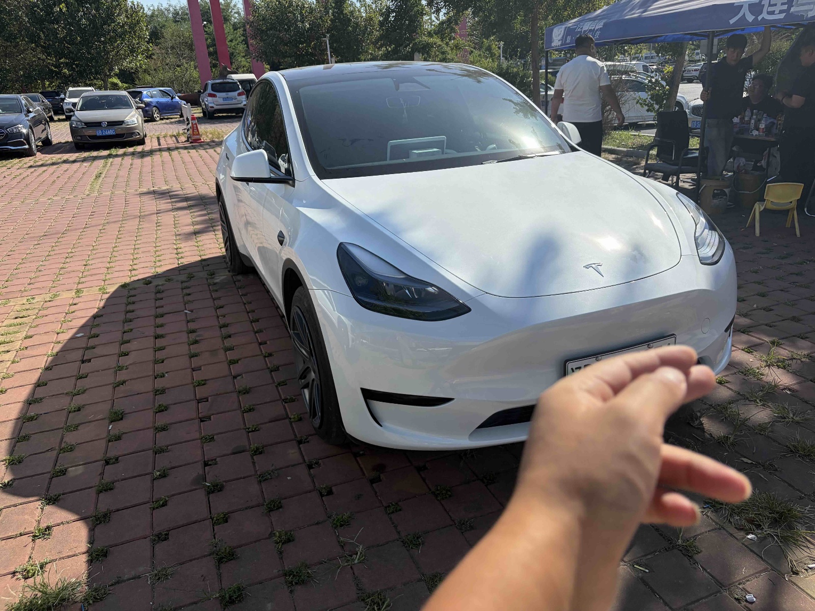MY2024 Model Y RWD