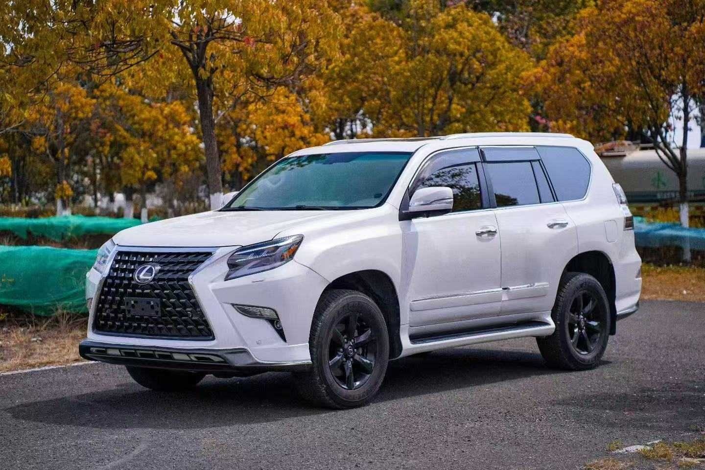 MY2010  Lexus GX 460