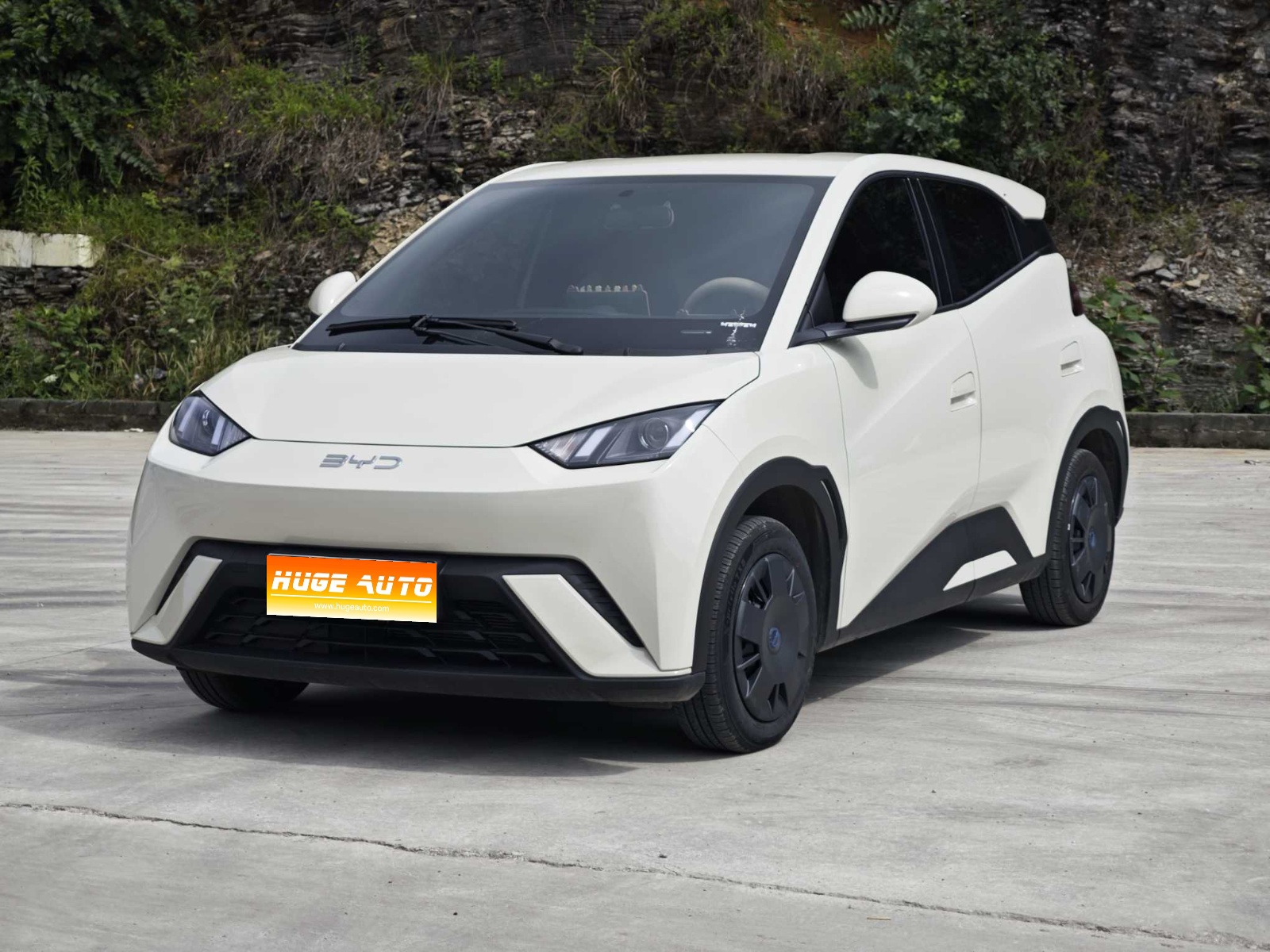 MY2024 Seagull Honor 305km Vitality