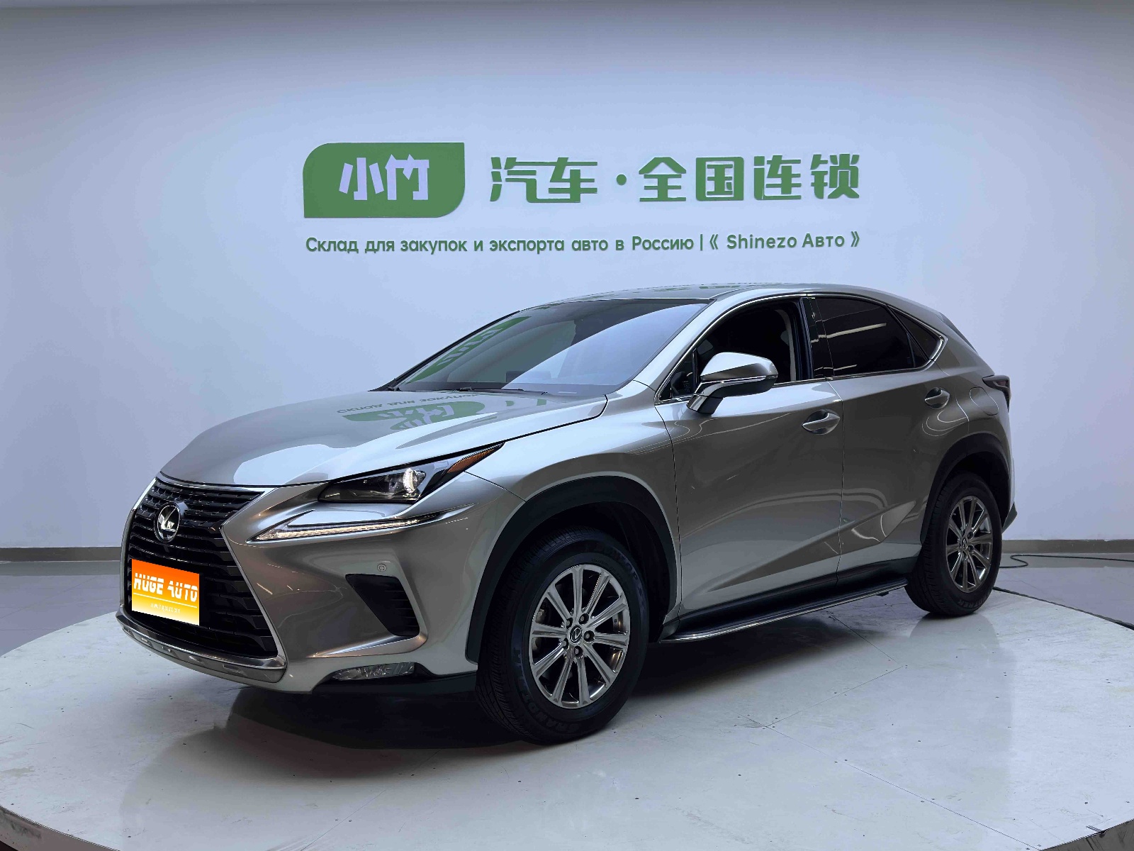 MY2020 Lexus NX 200 FWD Fengxing National VI