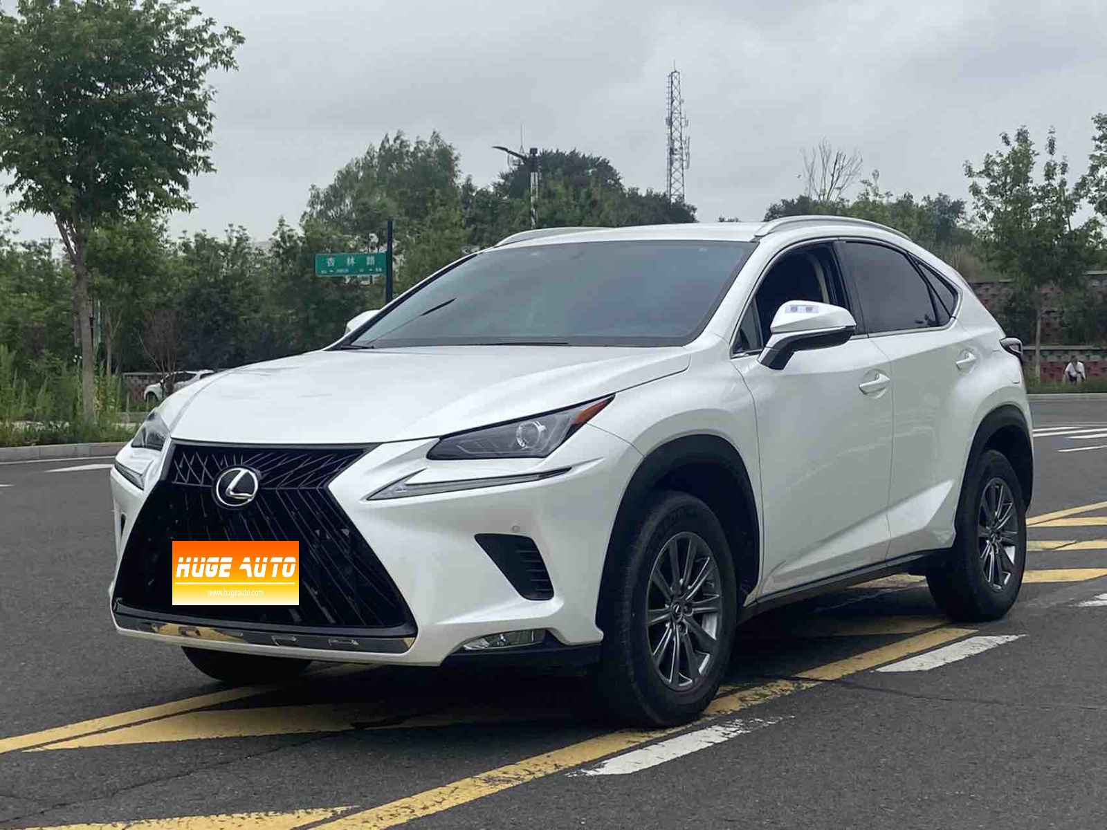 MY2020 Lexus NX 200 FWD Fengxing National V 