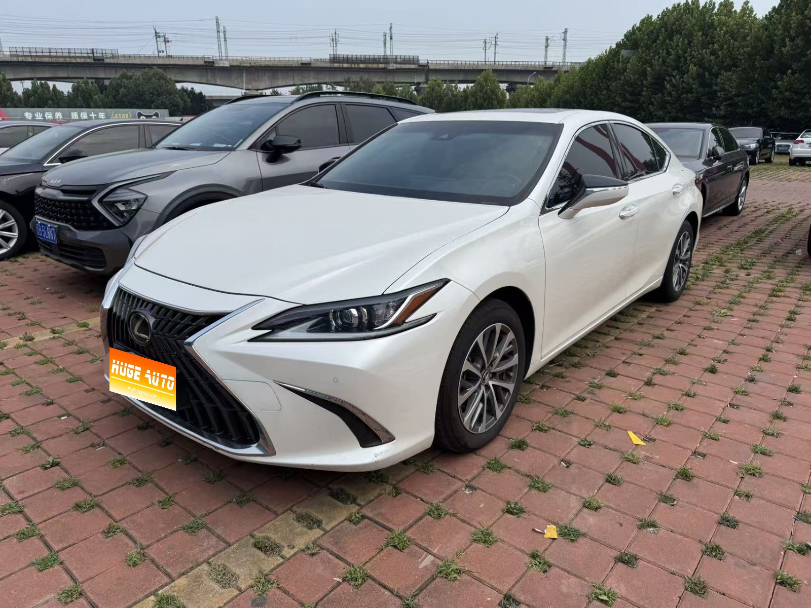 MY2023 LEXUS ES 200 Excellence Version