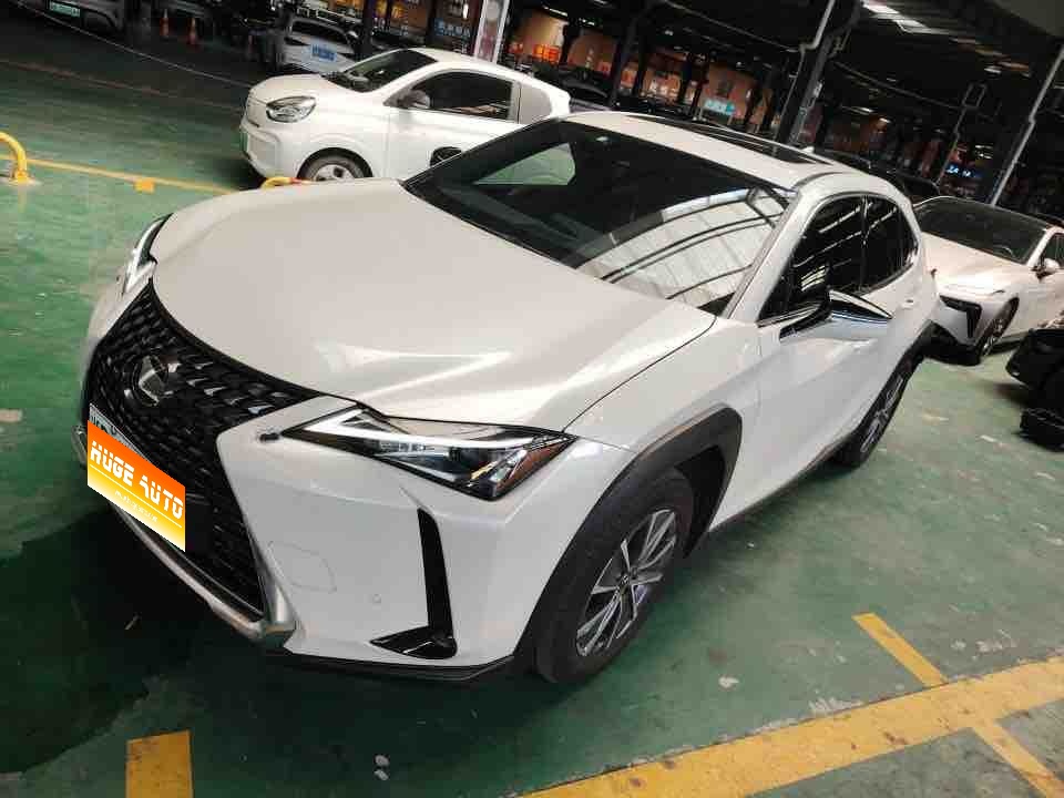 MY2020 Lexus UX NEV 300e Pure Enjoy
