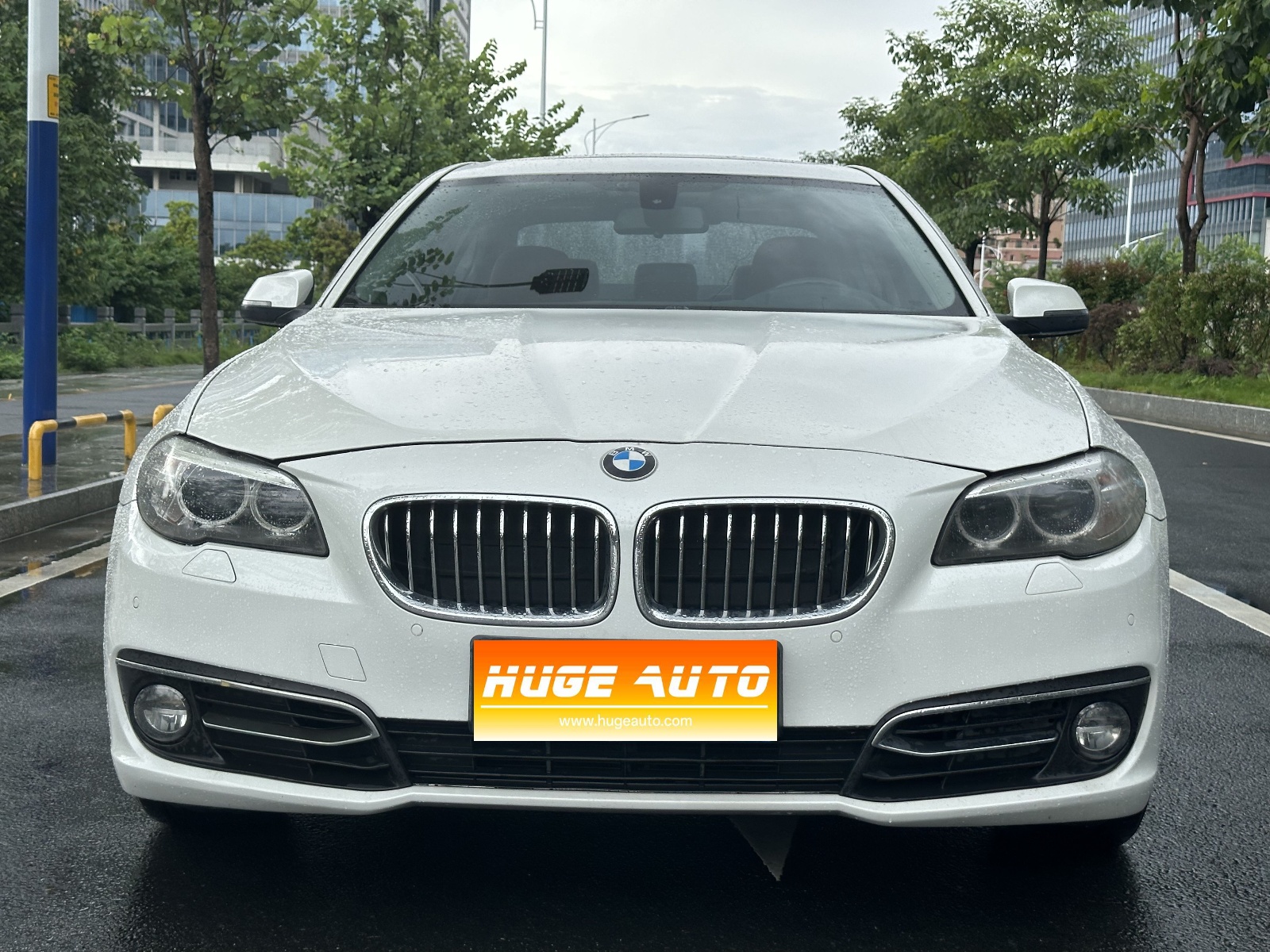 MY2014 BMW 5 Series 525Li Lead