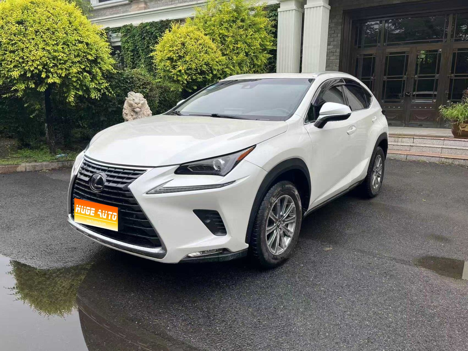 MY2020 Lexus NX 300h FWD Vanguard Version National V 