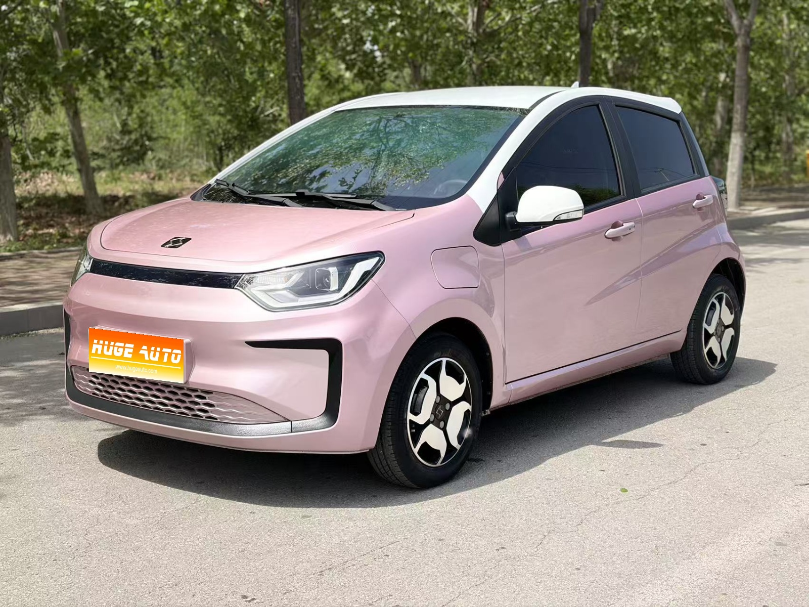 2021款 花仙子 302km 豪华型 31.4kWh