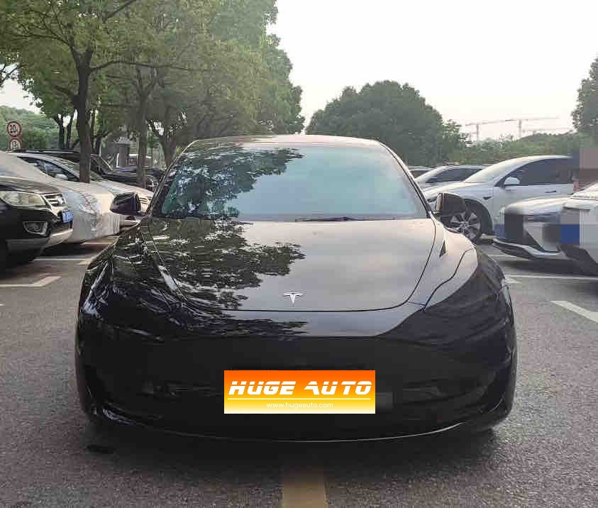 MY2021 Model 3 Standard Range RWD Upgraded 3D6