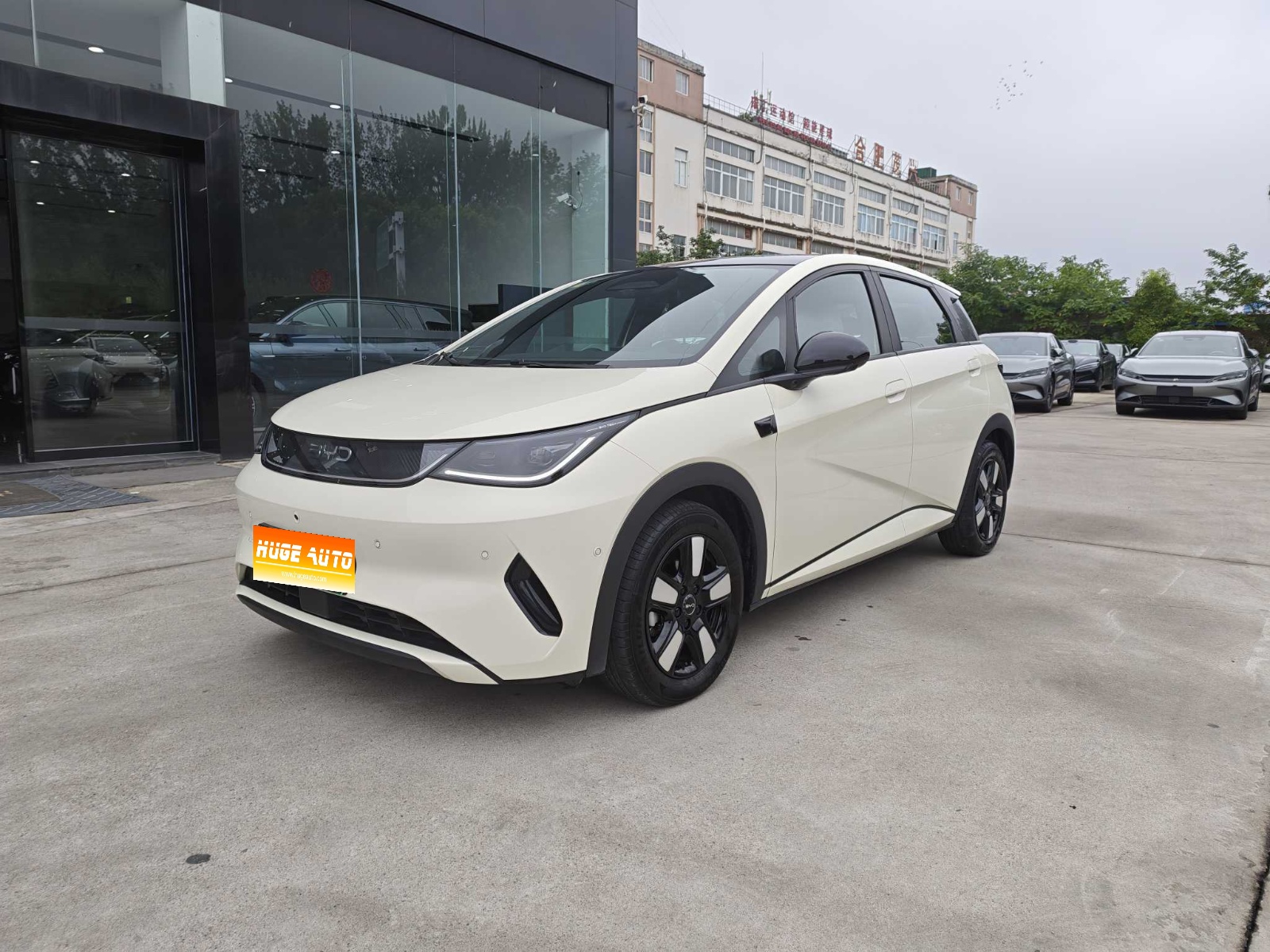 MY2025 Dolphin i-Drive 410km Fashion
