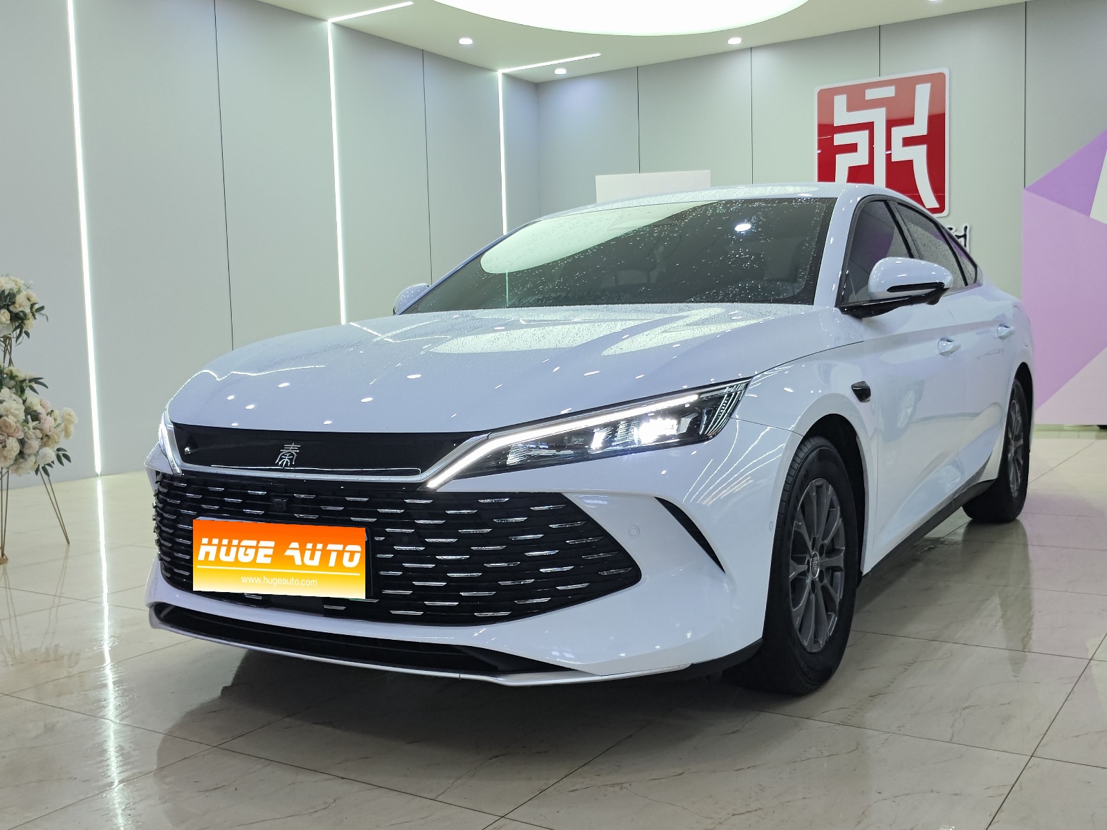 2025款 秦L DM-i 智驾版 80KM领先型