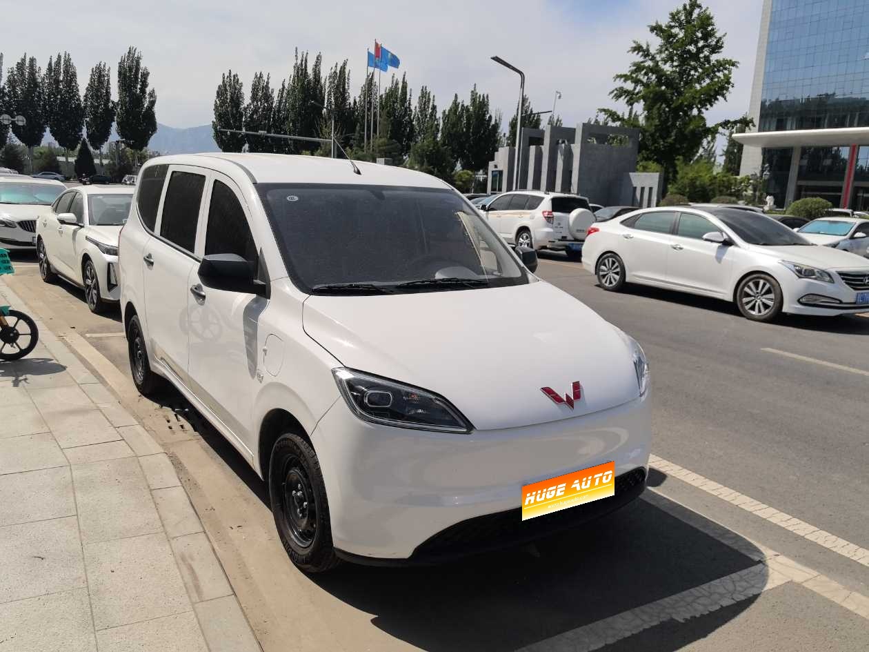MY2024 Wuling Hongguang BEV 300KM Utility Version