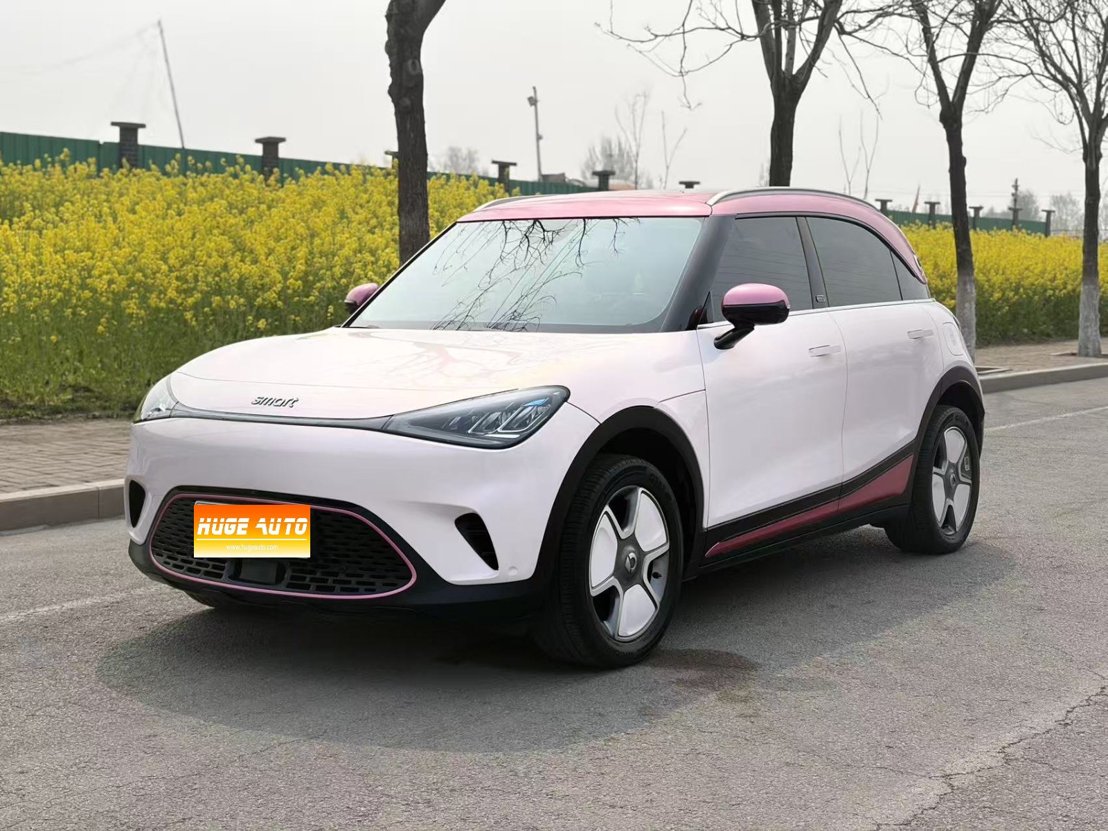MY2022 smart #1 Pro+