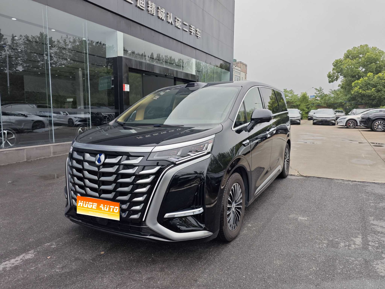 MY2025 DENZA D9 DM-i iDrive 1020 4WD Honor