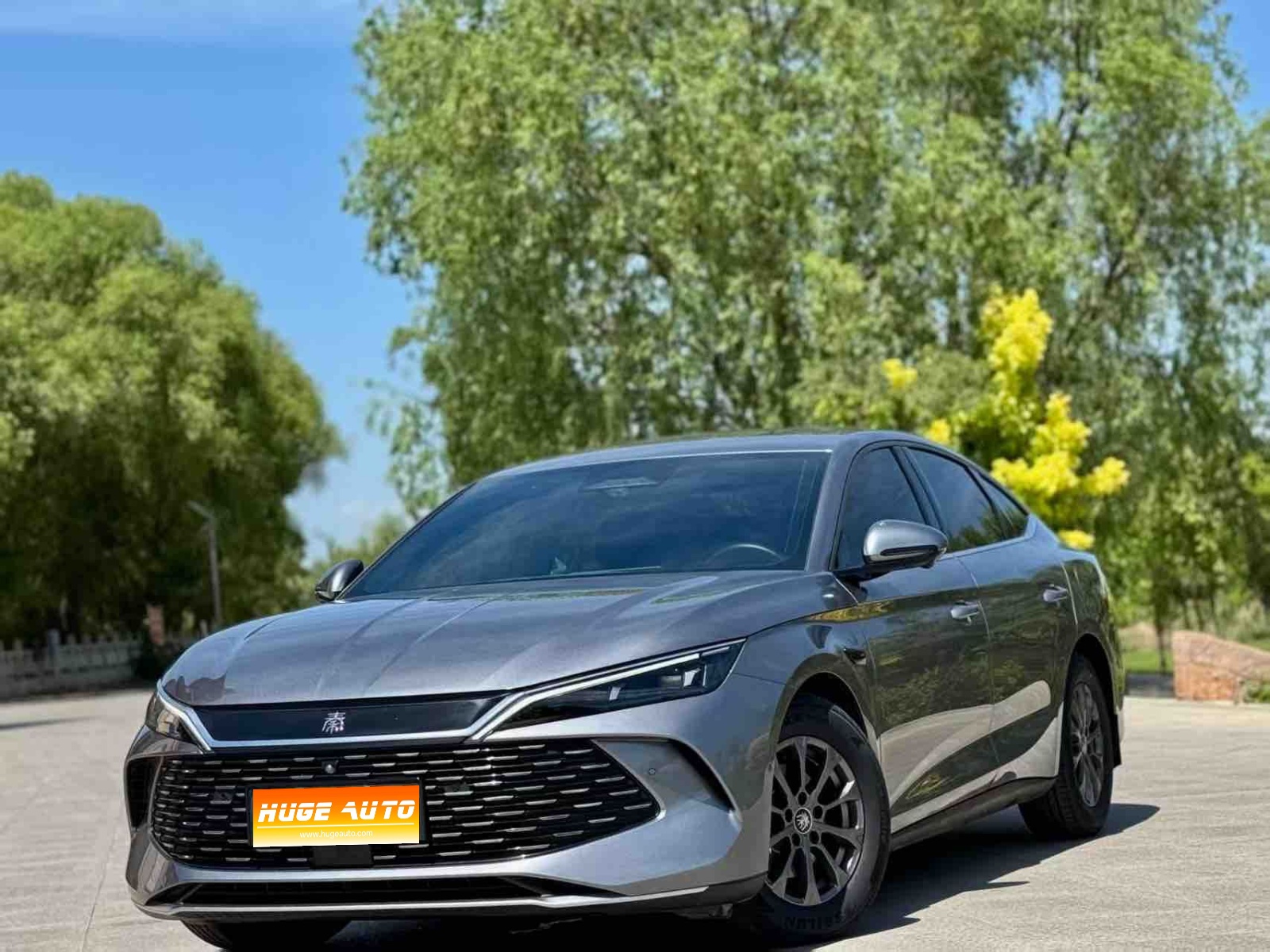 MY2025 Qin L DM-i i-Drive 80KM Lead