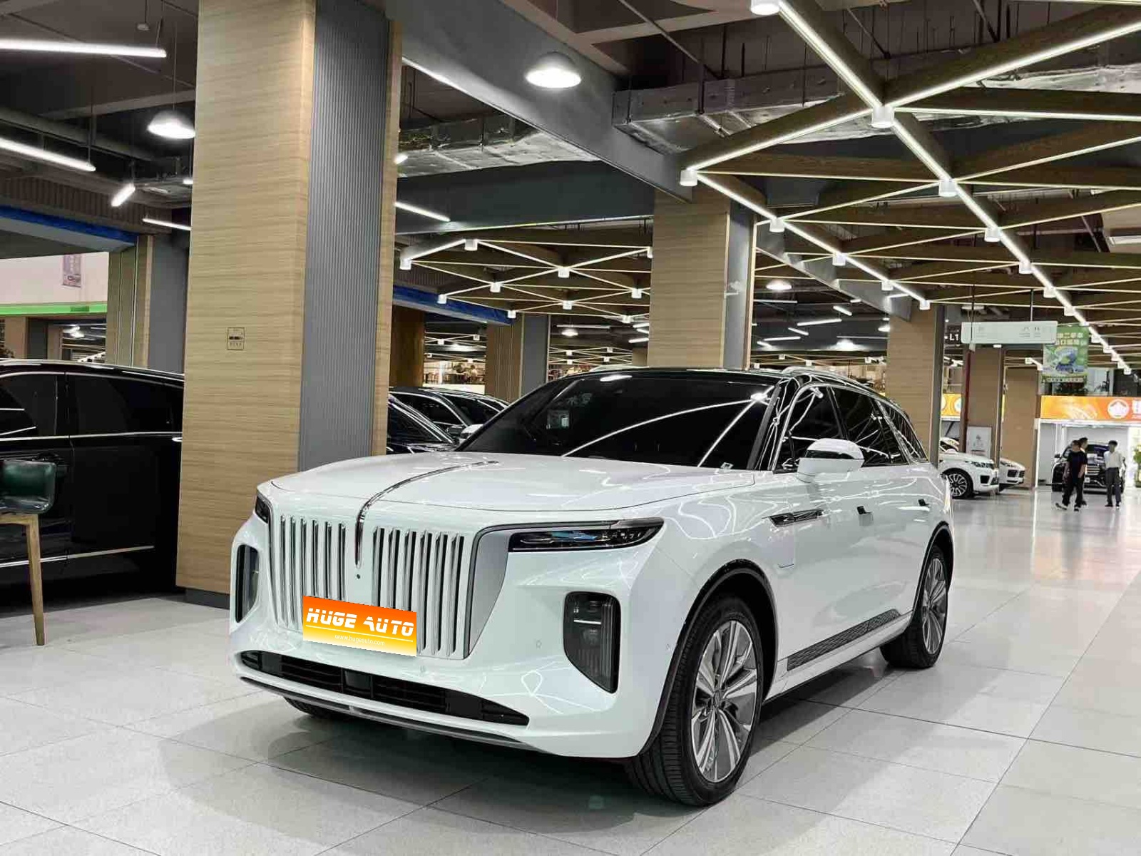 2022款 红旗E-HS9 690km 旗享版 六座
