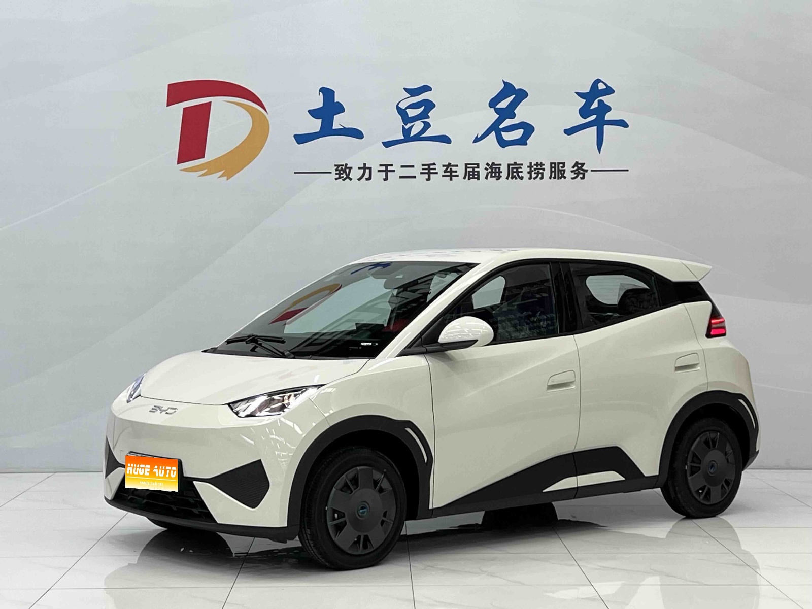 MY2025 Seagull iDrive 305km Vitality