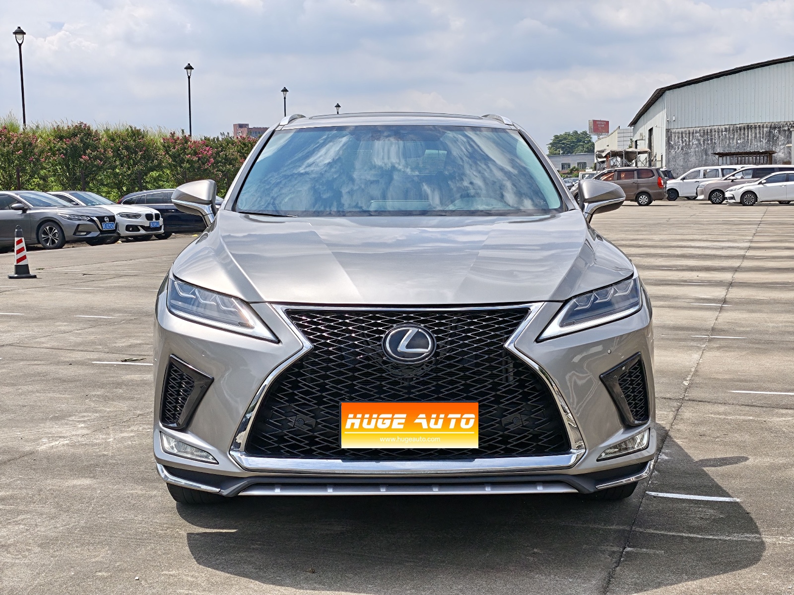 MY2020 Lexus RX 300 2WD Comfort Version National VI