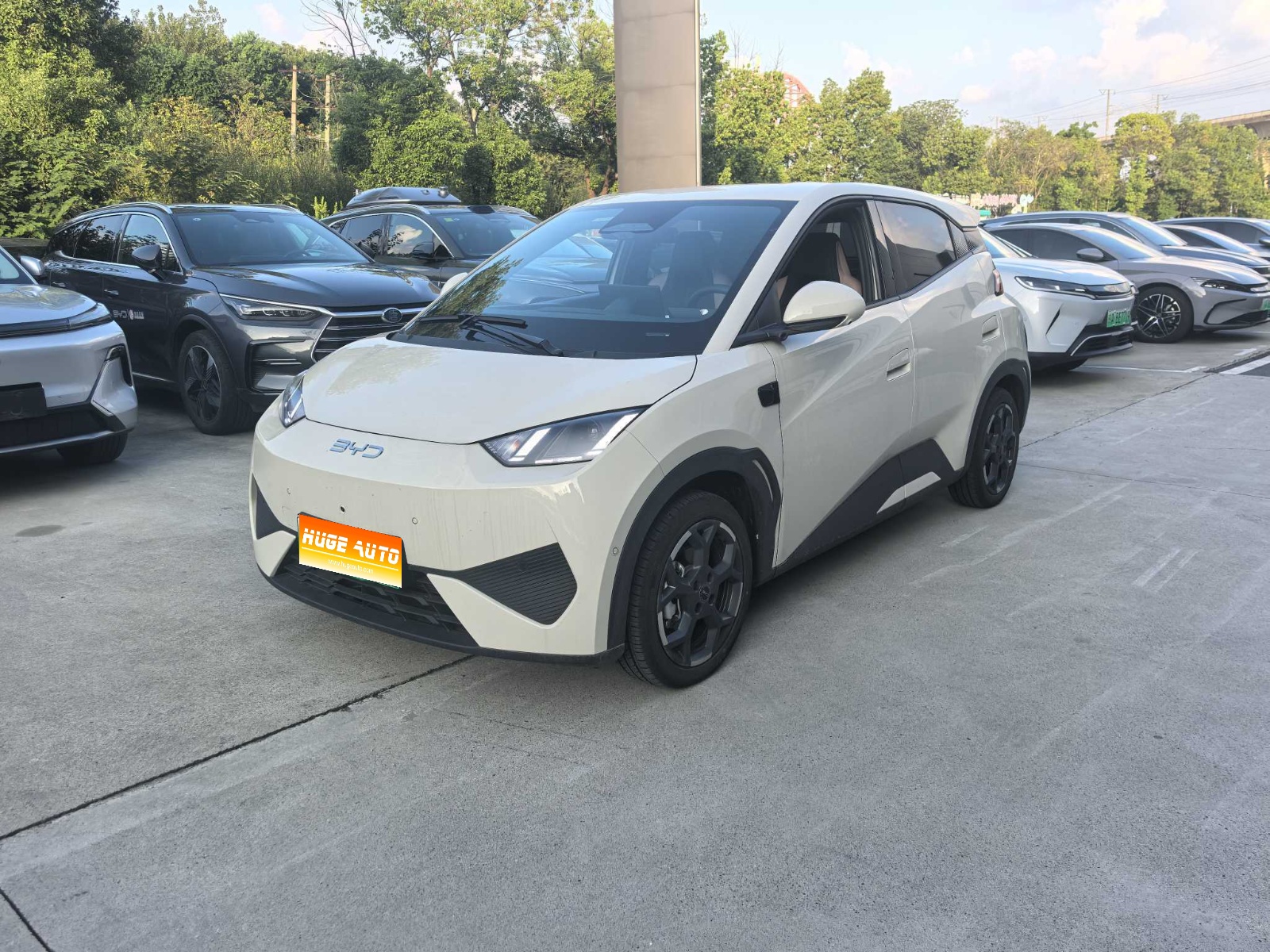 2025款 海鸥 305km 自由版