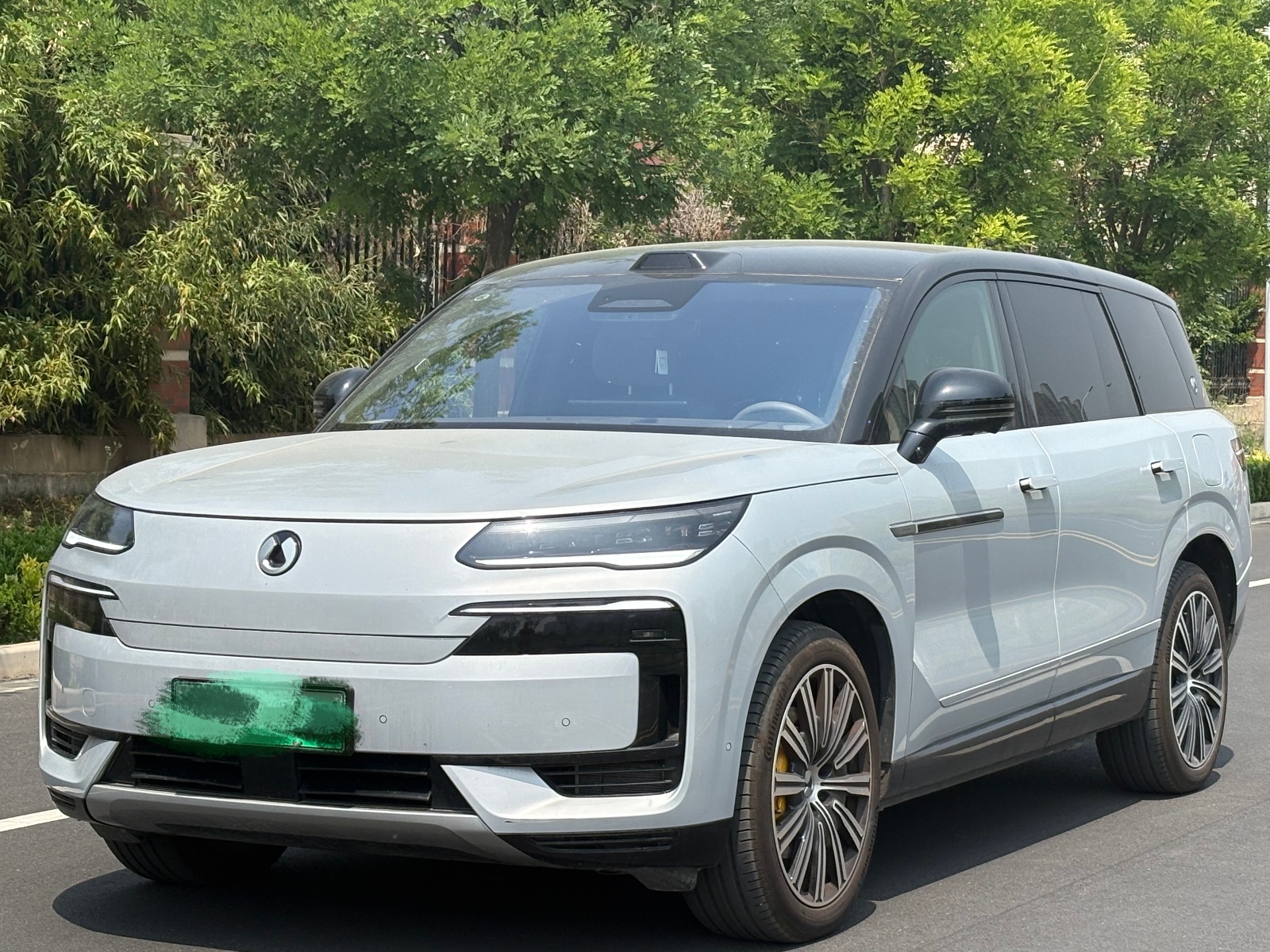 MY2025 DENZA N9 Honor