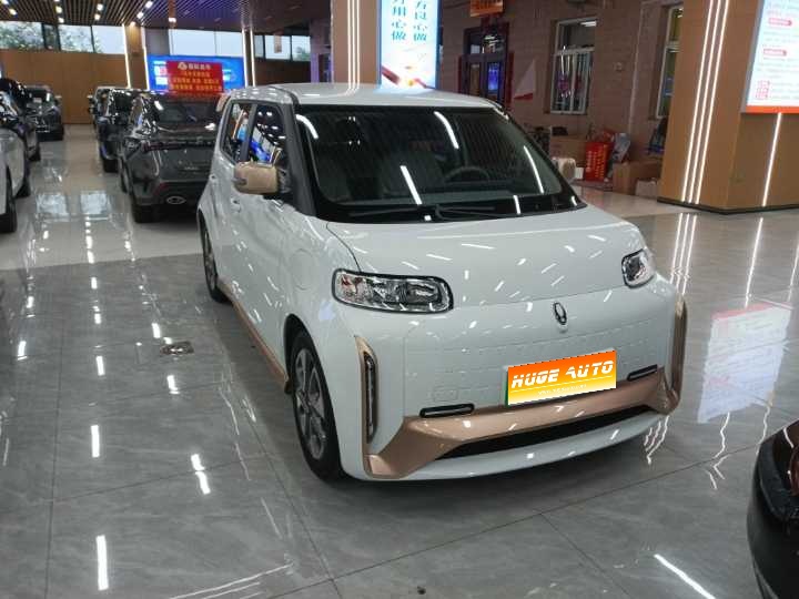 MY2022 Ora White Cat Wildcat 360km Luxury Version Ternary Lithium