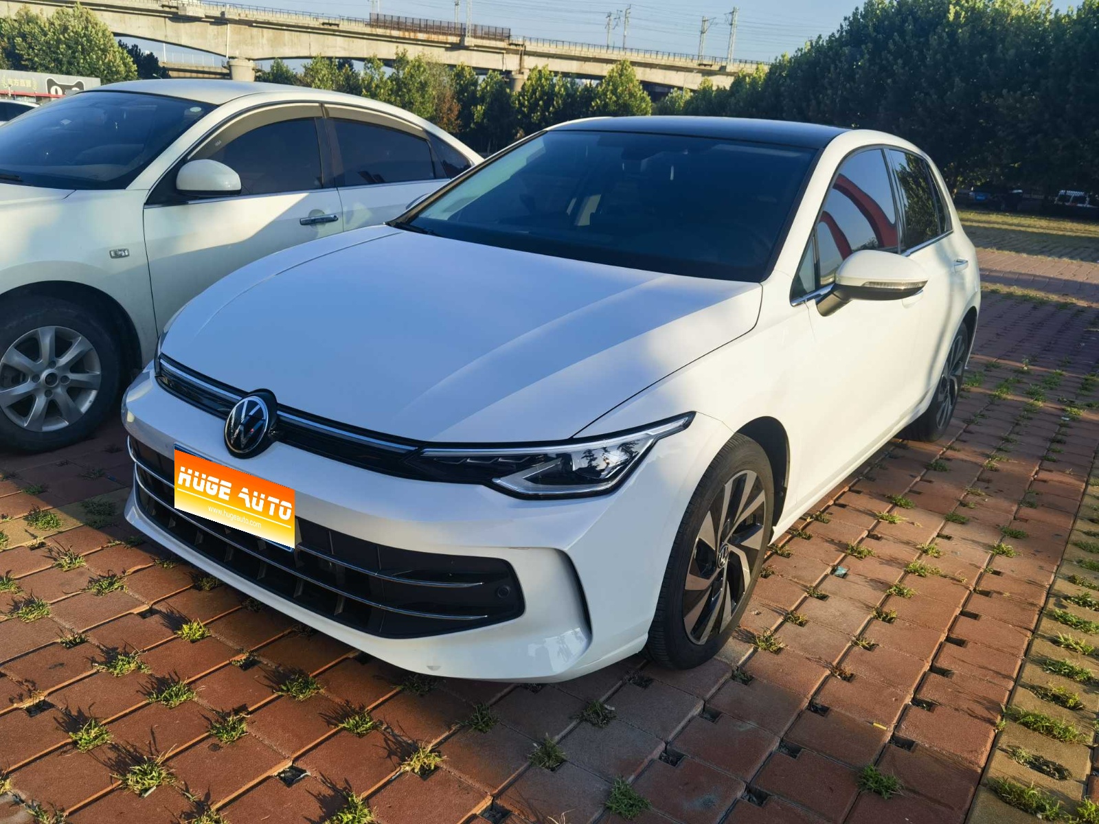 MY2025 Golf 300TSI Pro