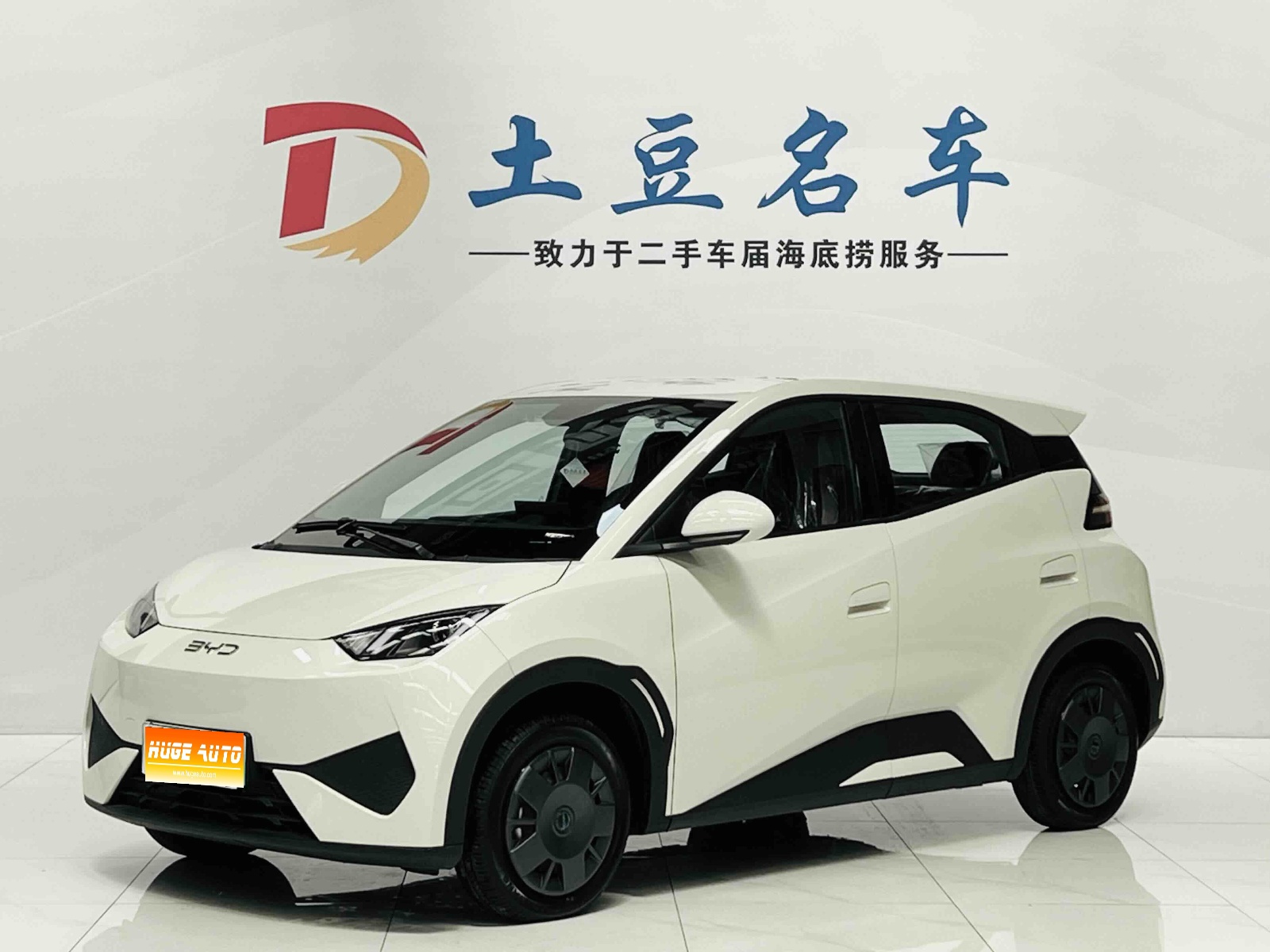 MY2025 Seagull iDrive 305km Vitality